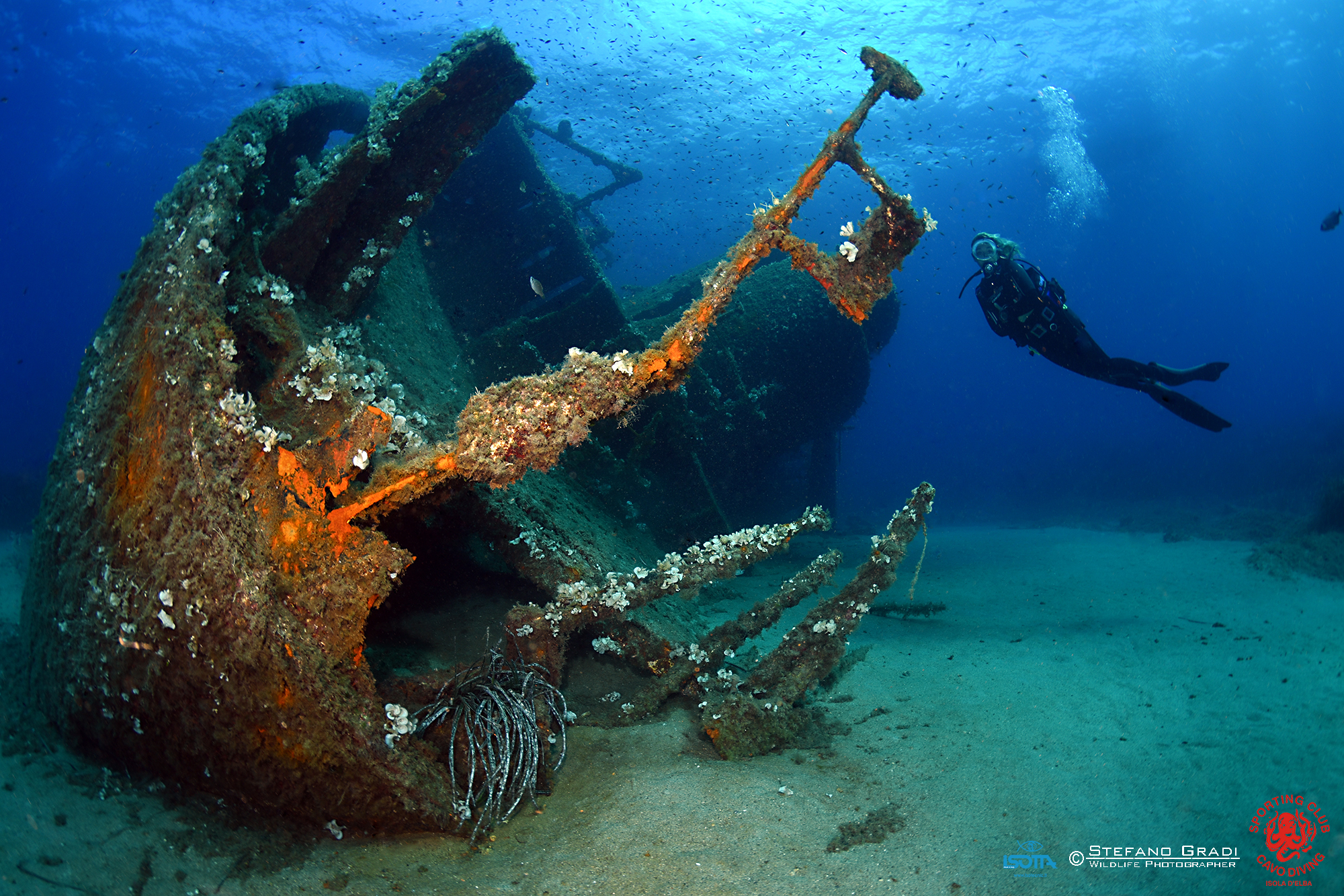 Elviscot - Relitto di Pomonte