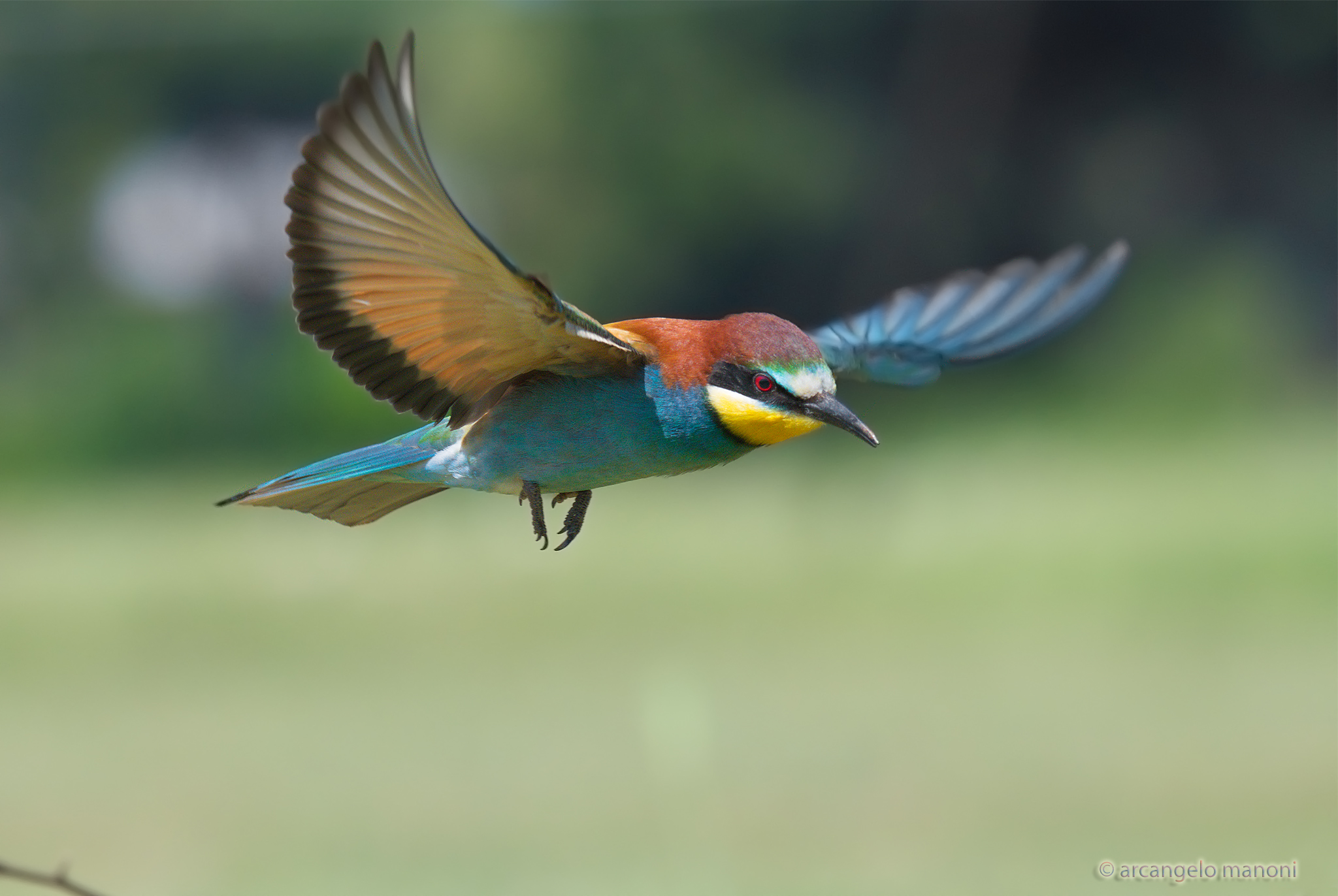 The Flight of the Hanger