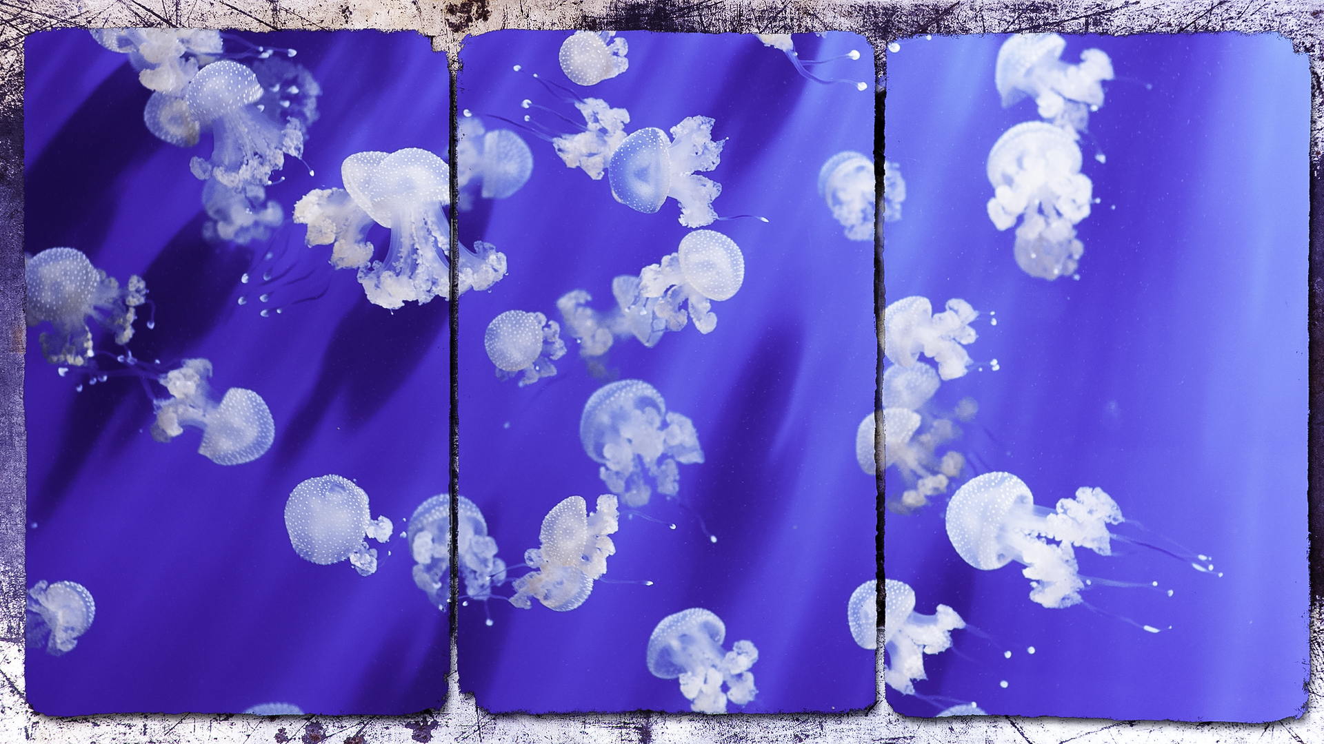 In the blue painted blue