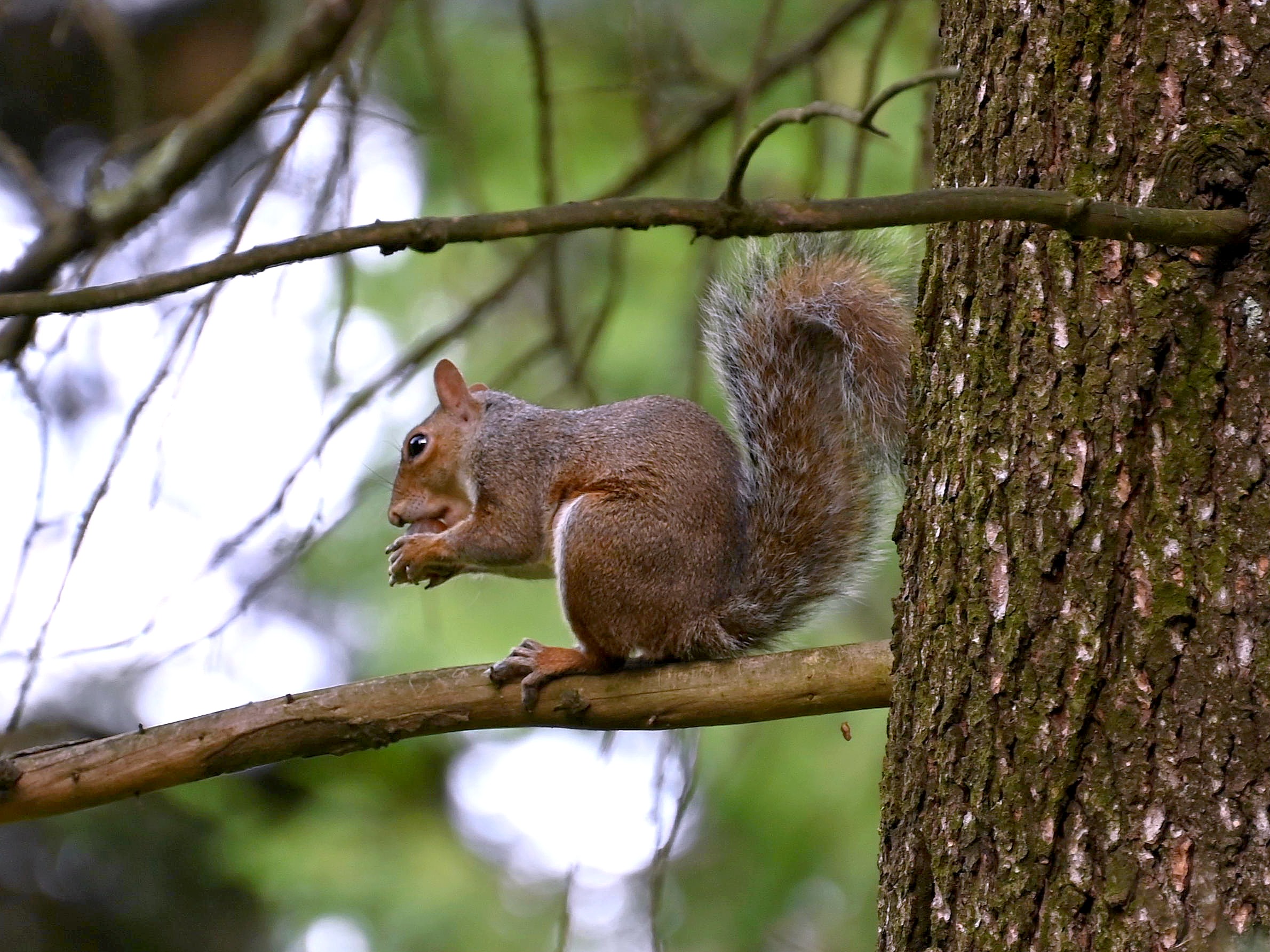 Here I can eat in peace