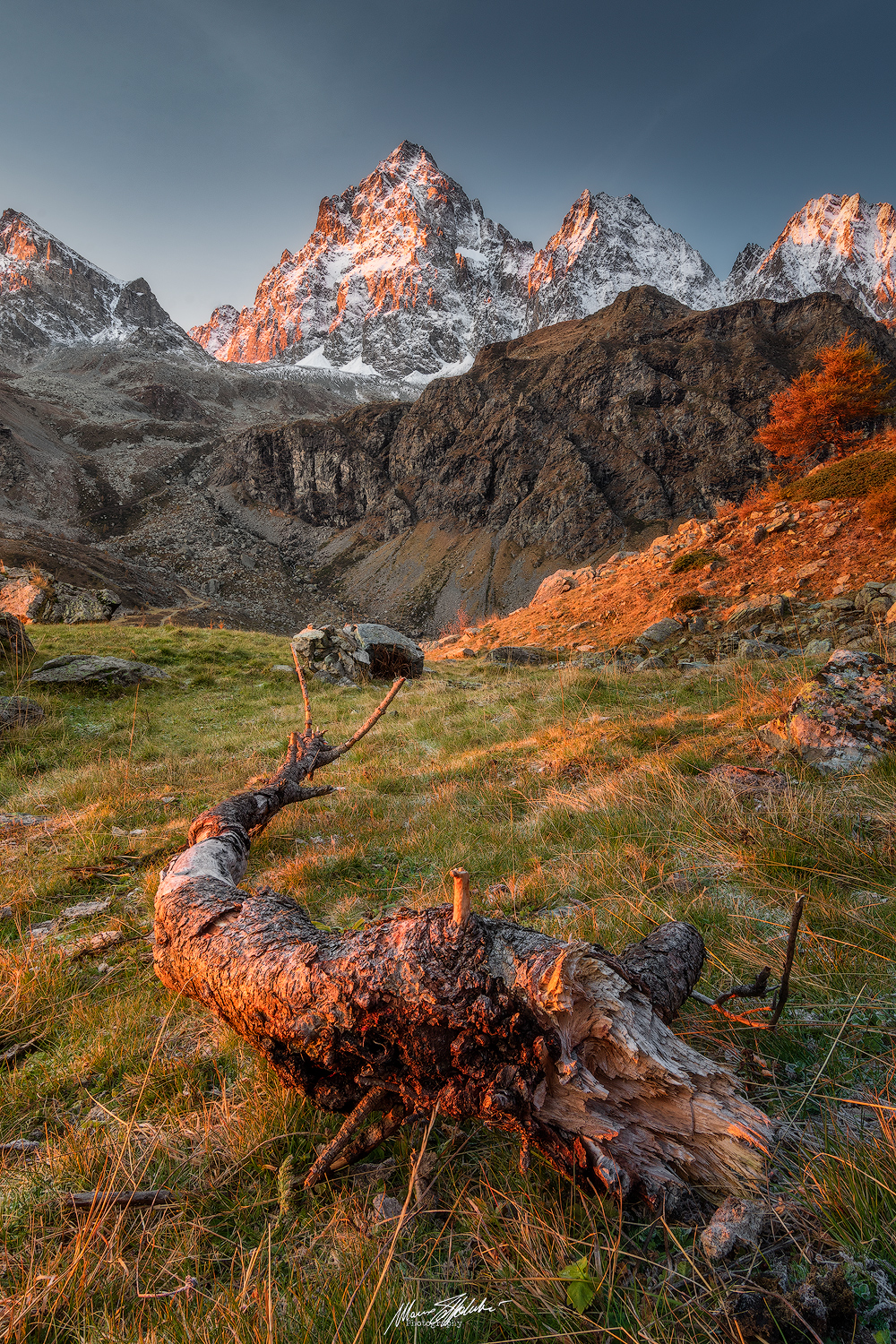 Alba al cospetto del Re di Pietra