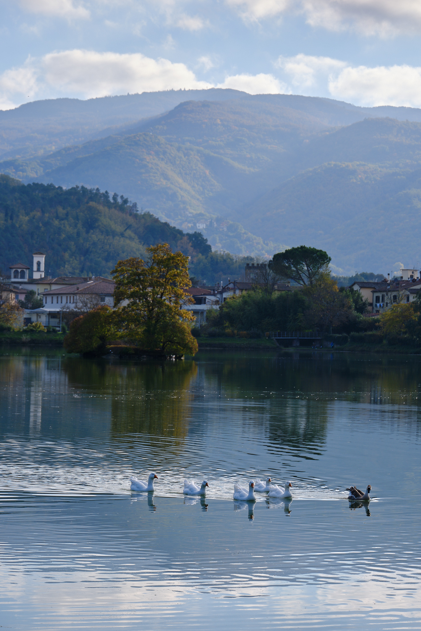 Lake Montelleri - Vicchio