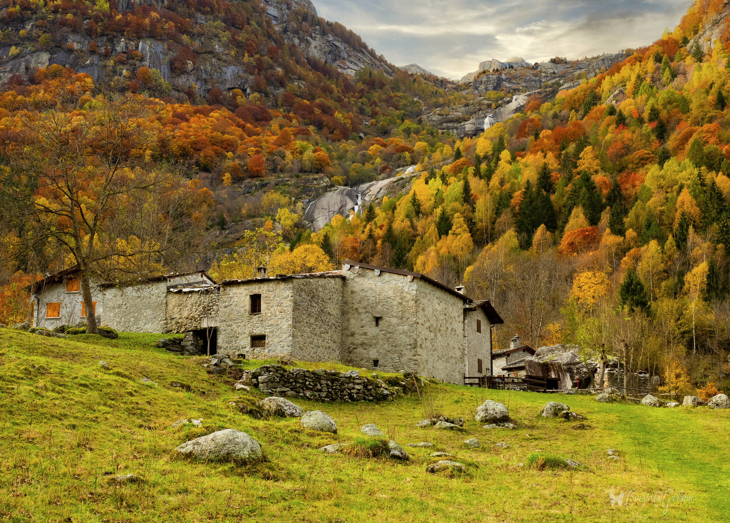 foliage in val di mello