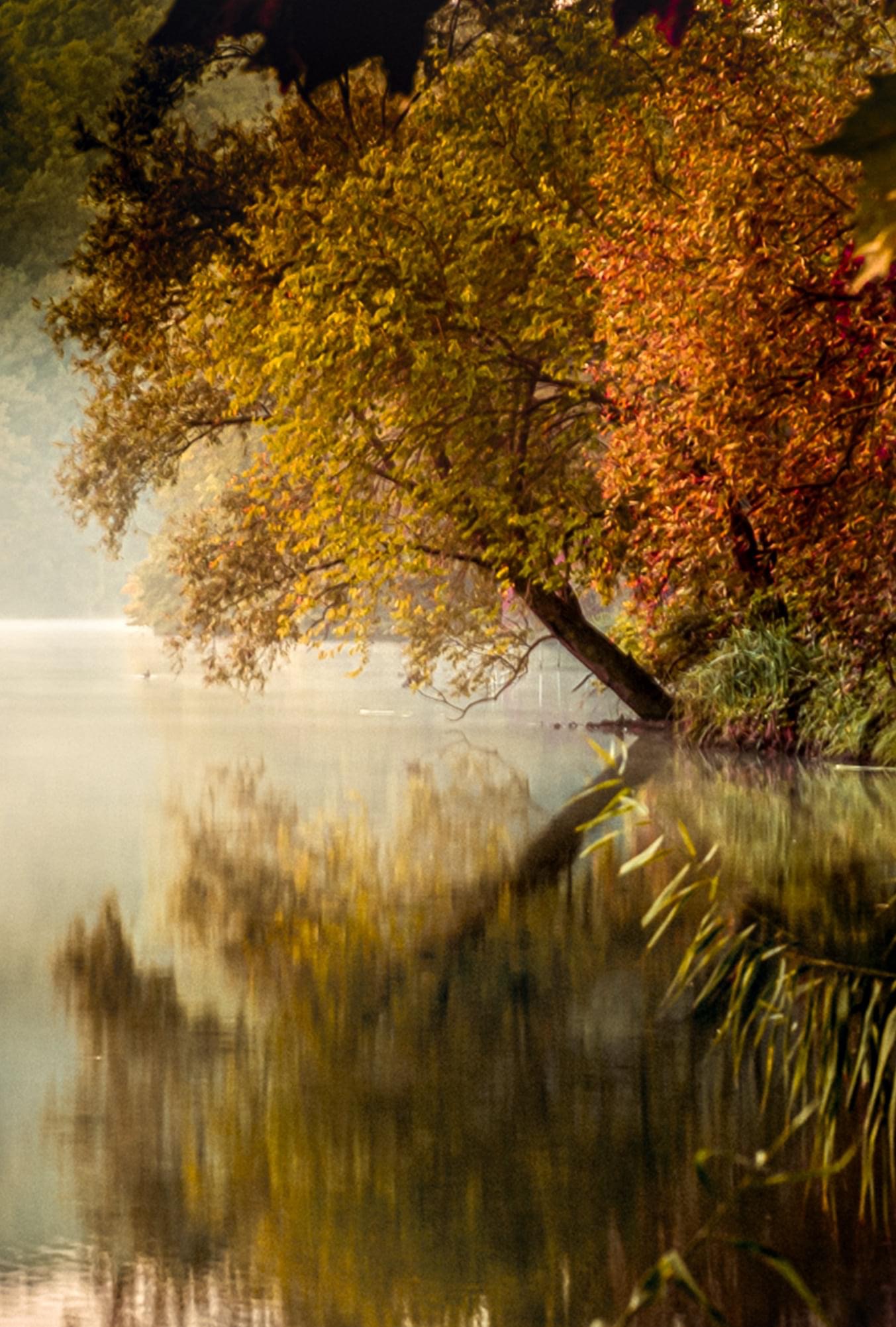 Adda.. in a picture!