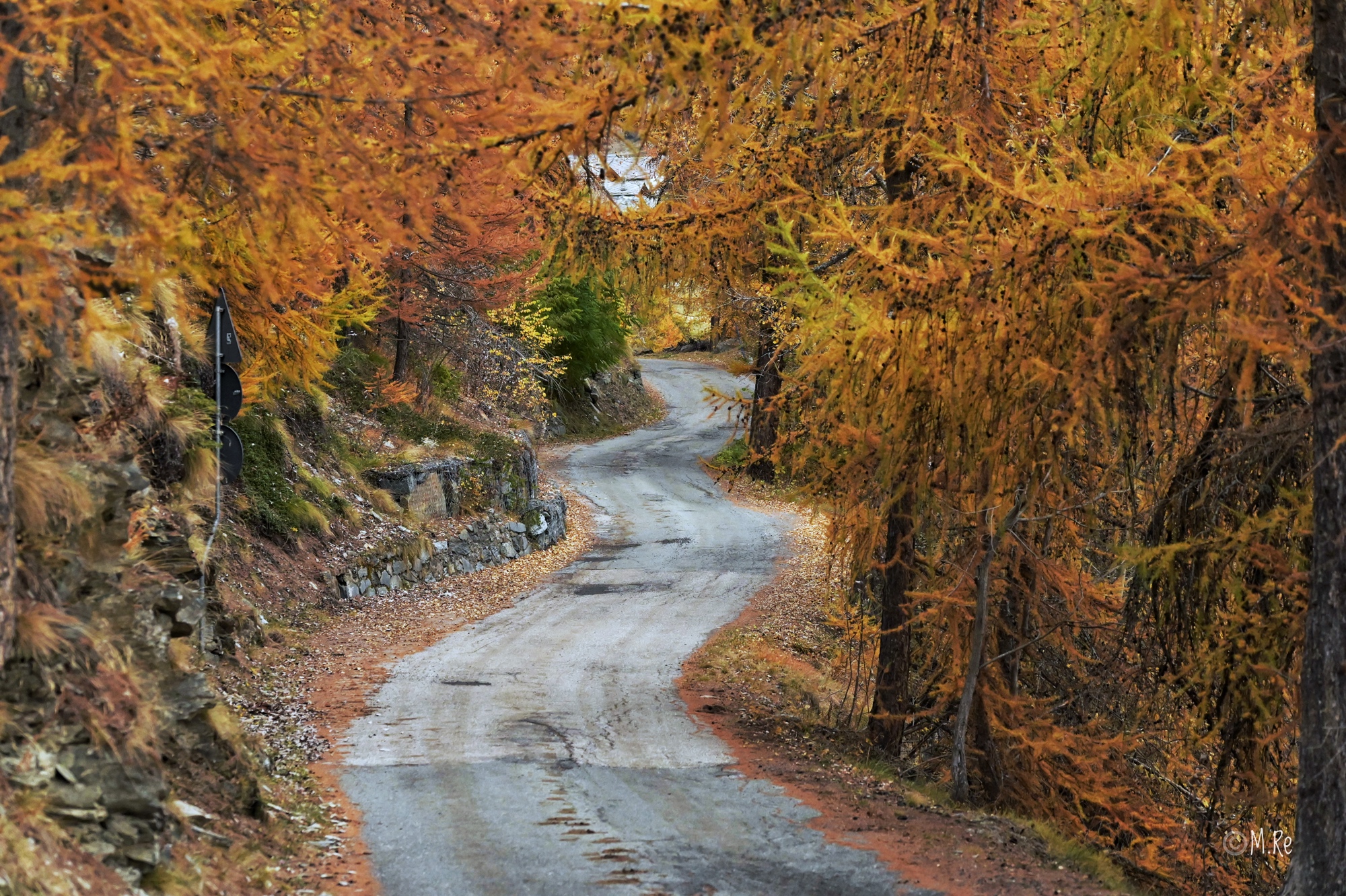 Strada autunnale