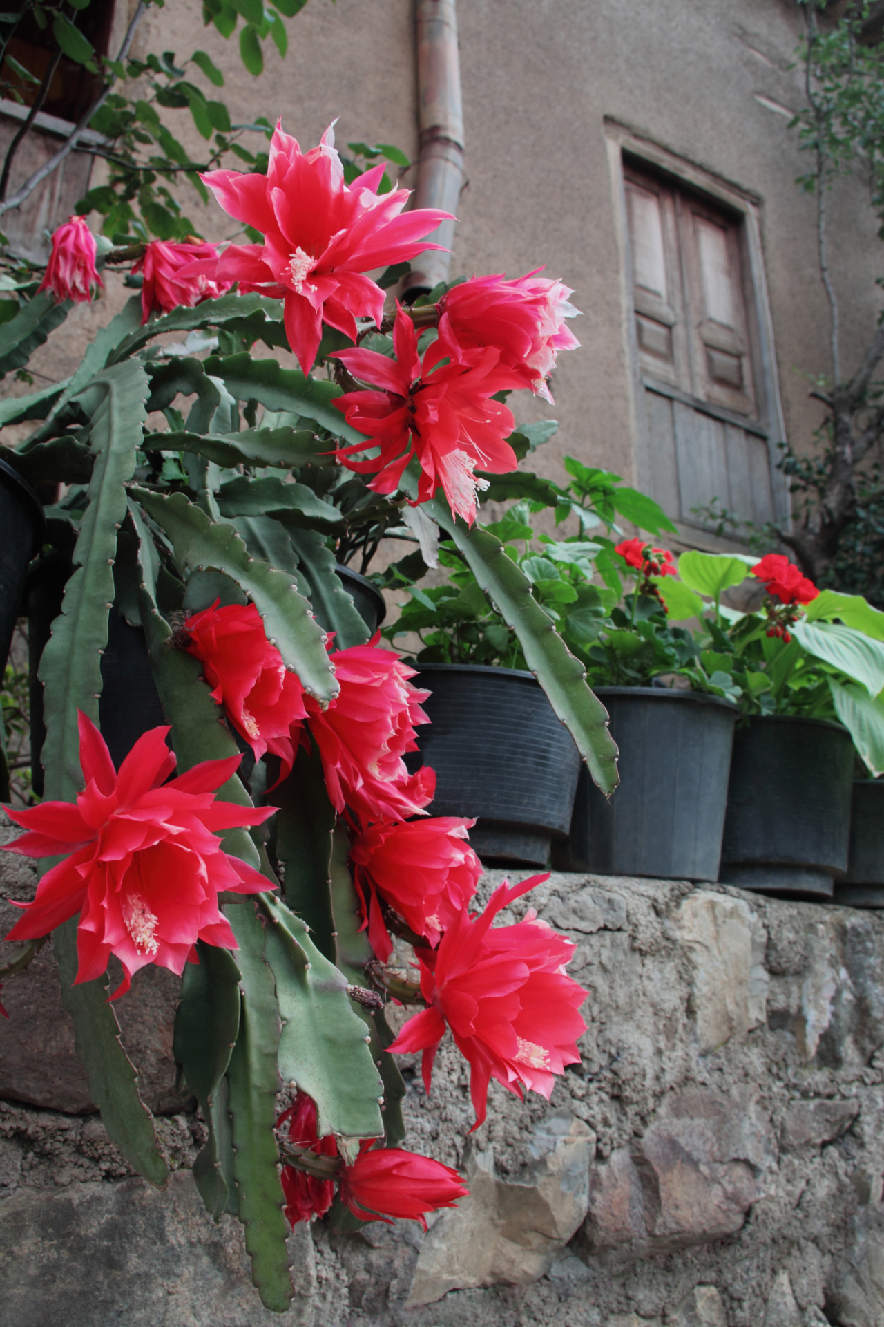 Villaggio di Masouleh