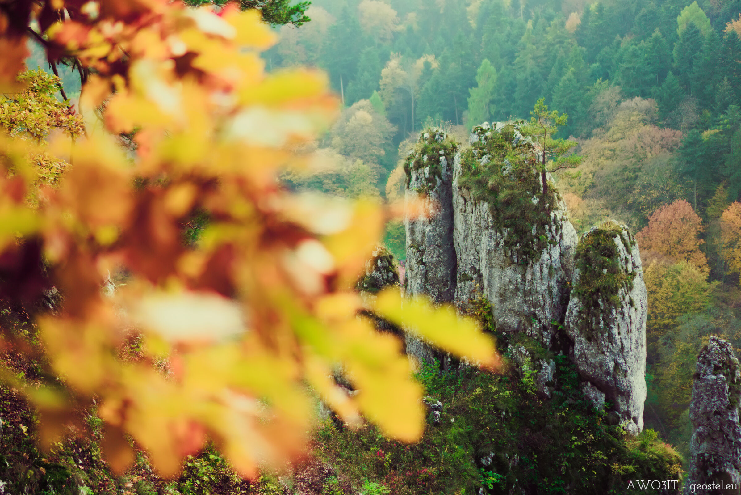Parco Nazionale di Ojcow formazione rocciosa Il Guanto