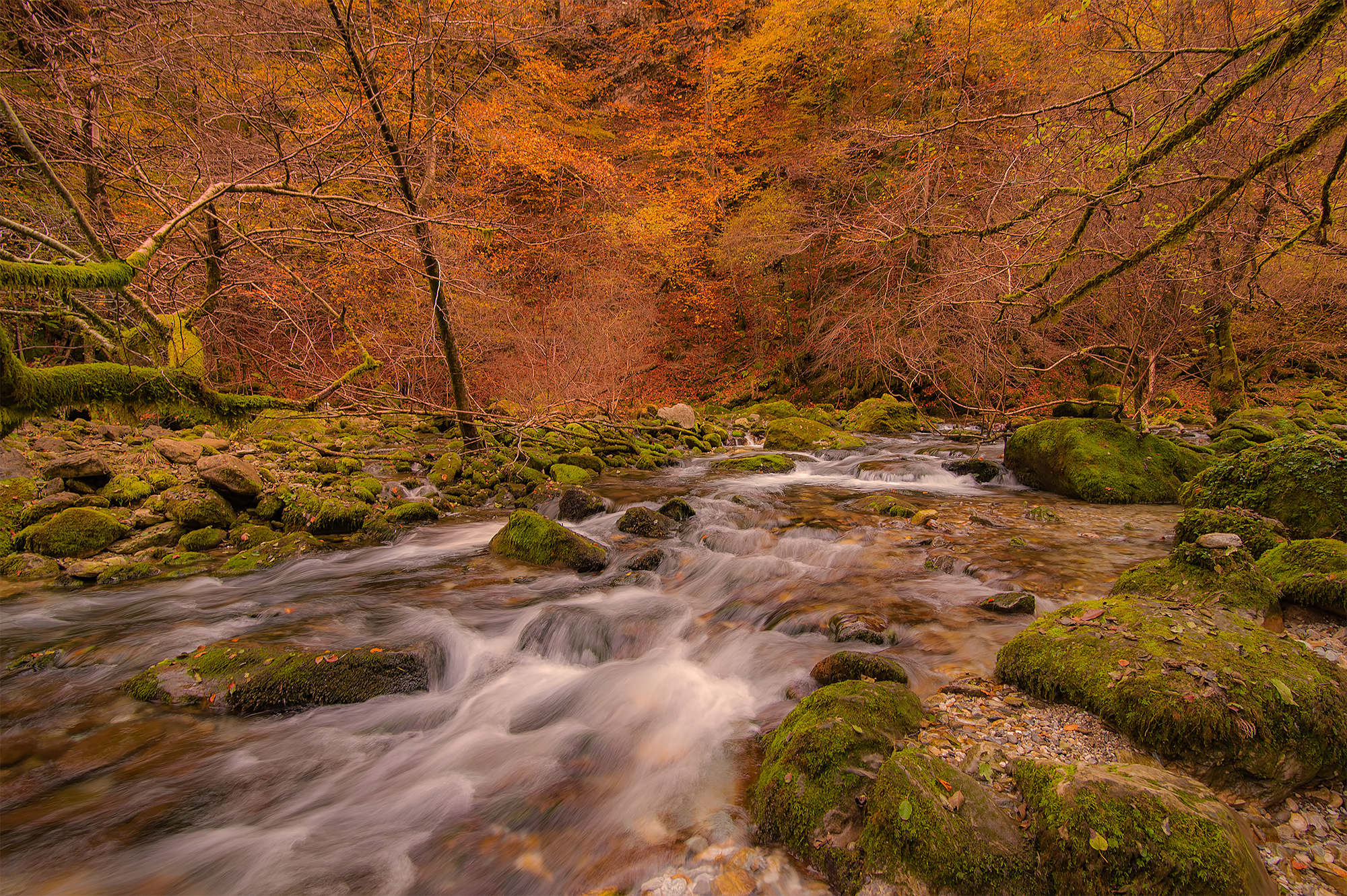 Turrite Secca Alpi Apuane.