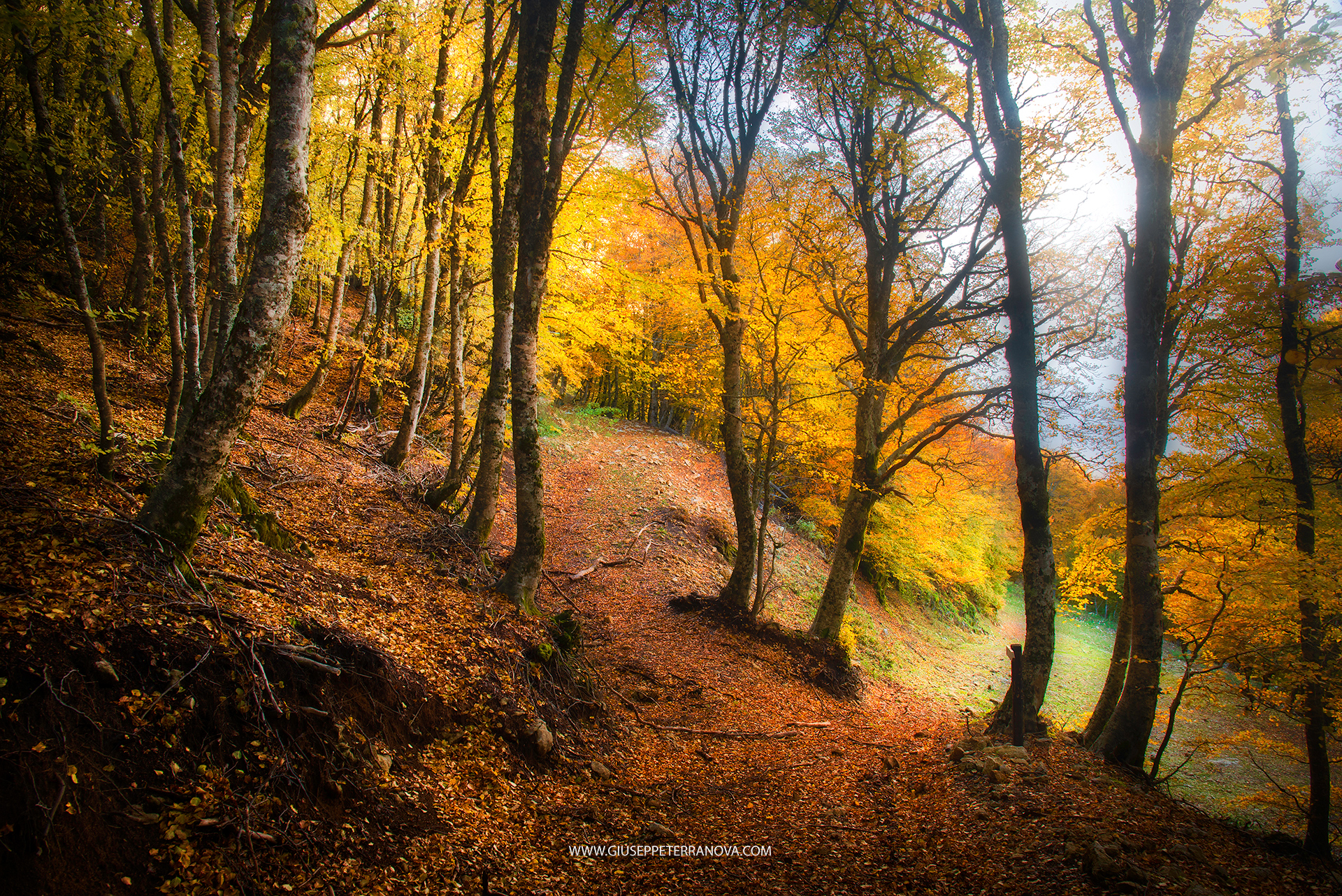 Autunno Nelle Madonie