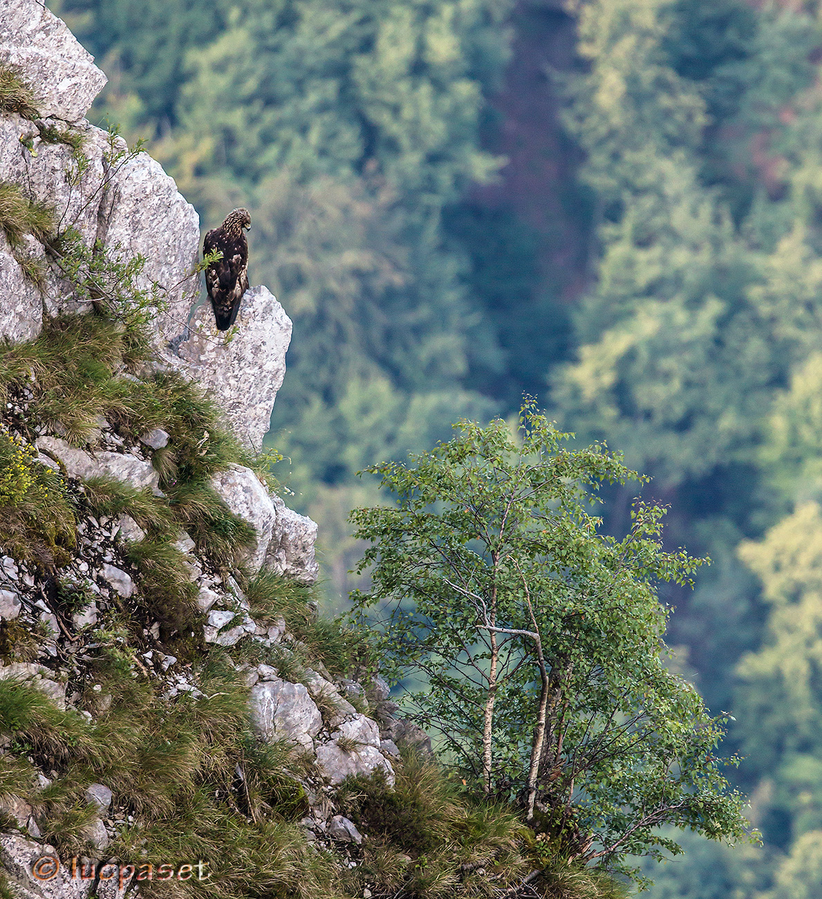A controllo del territorio