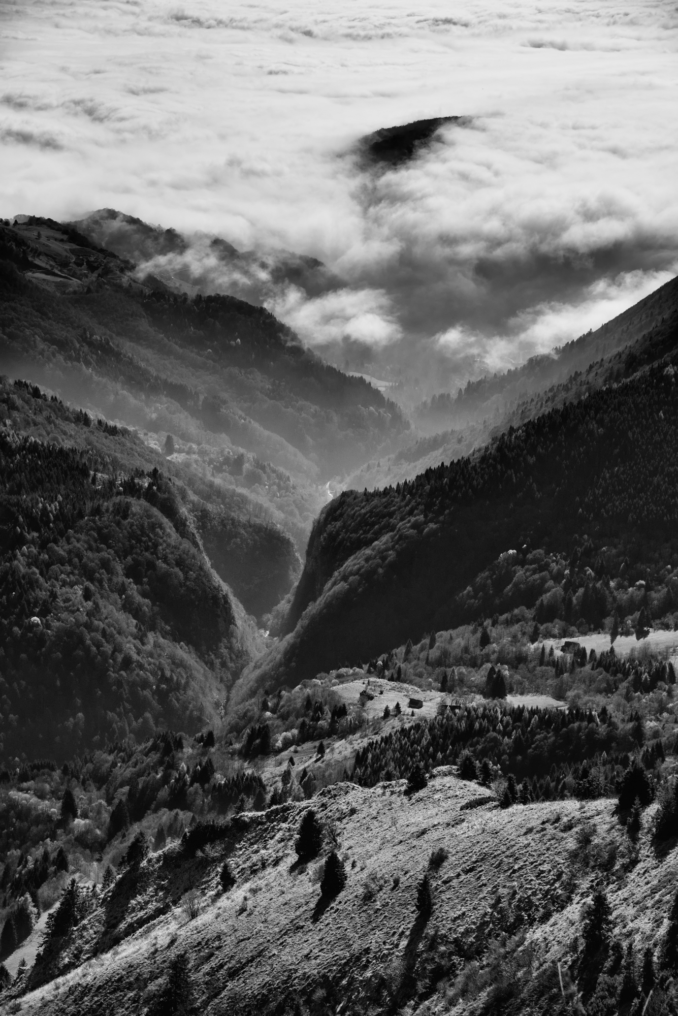 Dalla cima del monte Arvedis