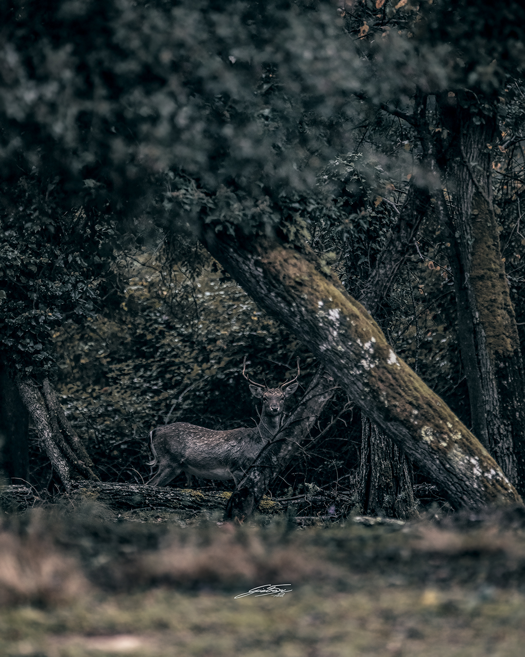 On the way to the evening...