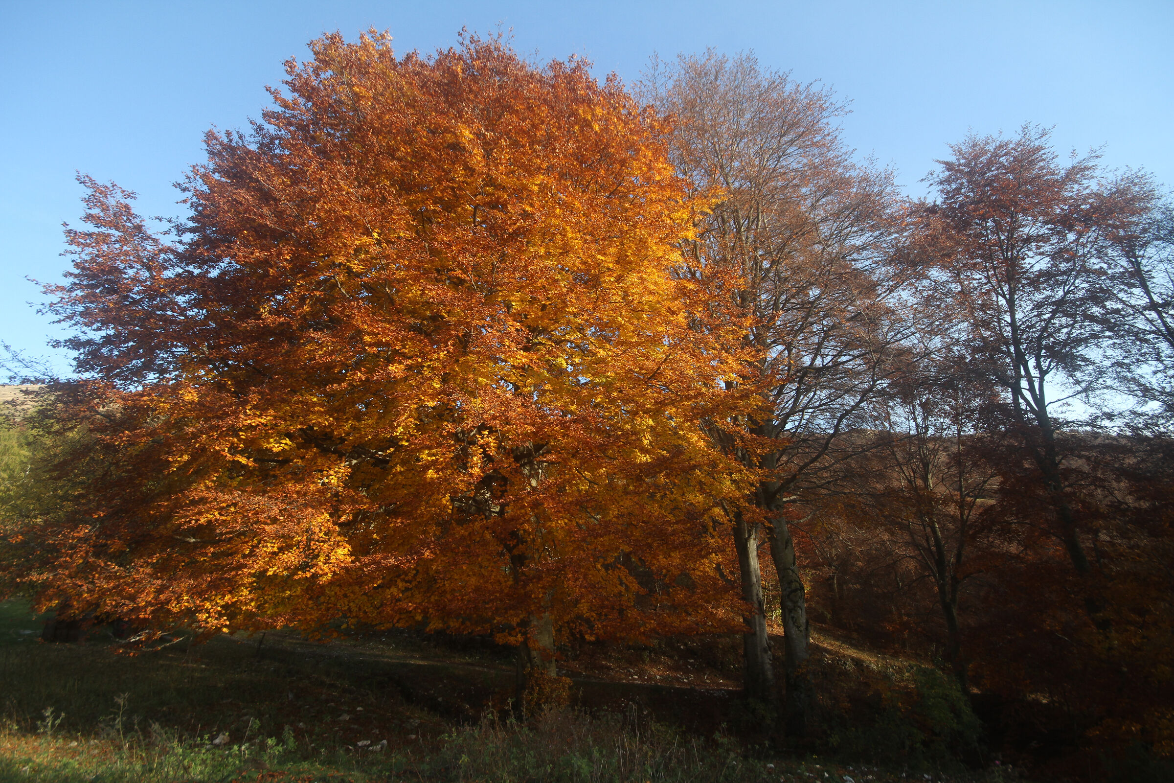 I colori della seduzione