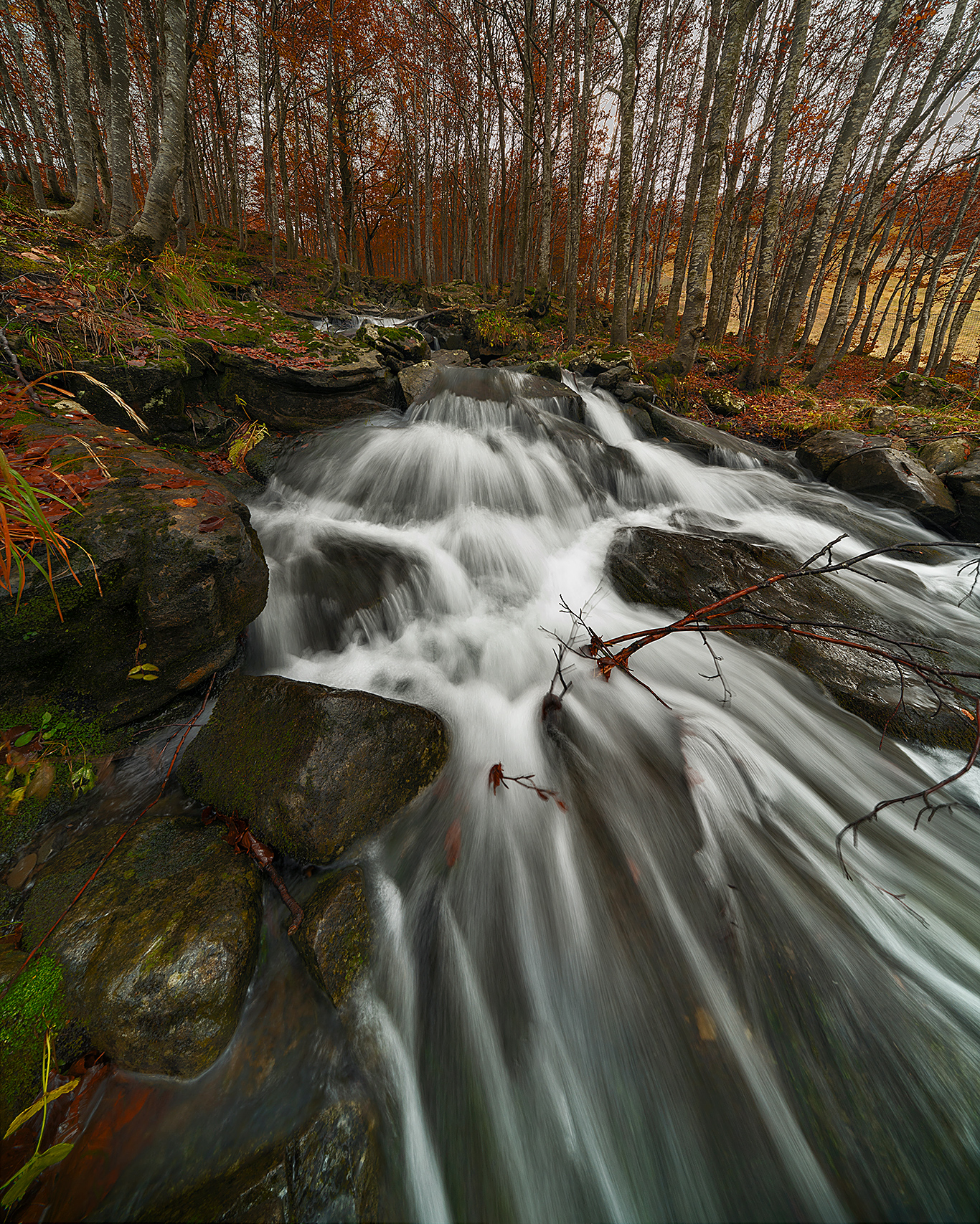 Due passi per l'Appennino