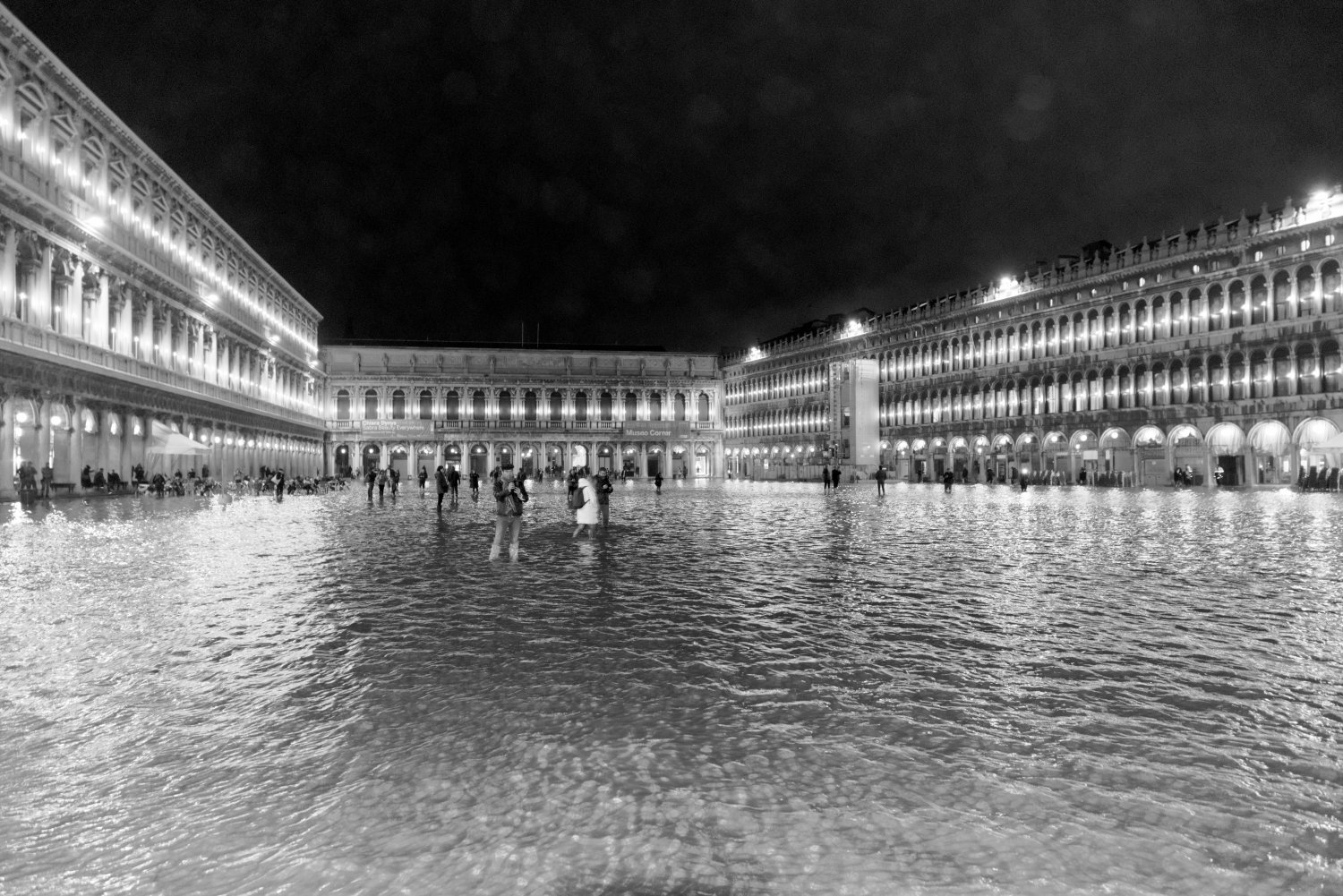 Venice, high water 2019