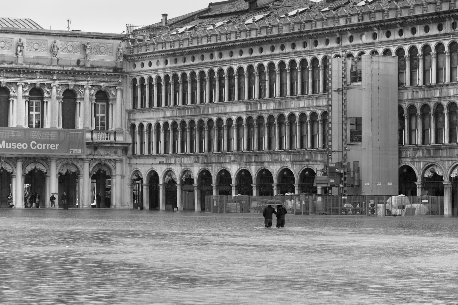 Venice, high water 2019