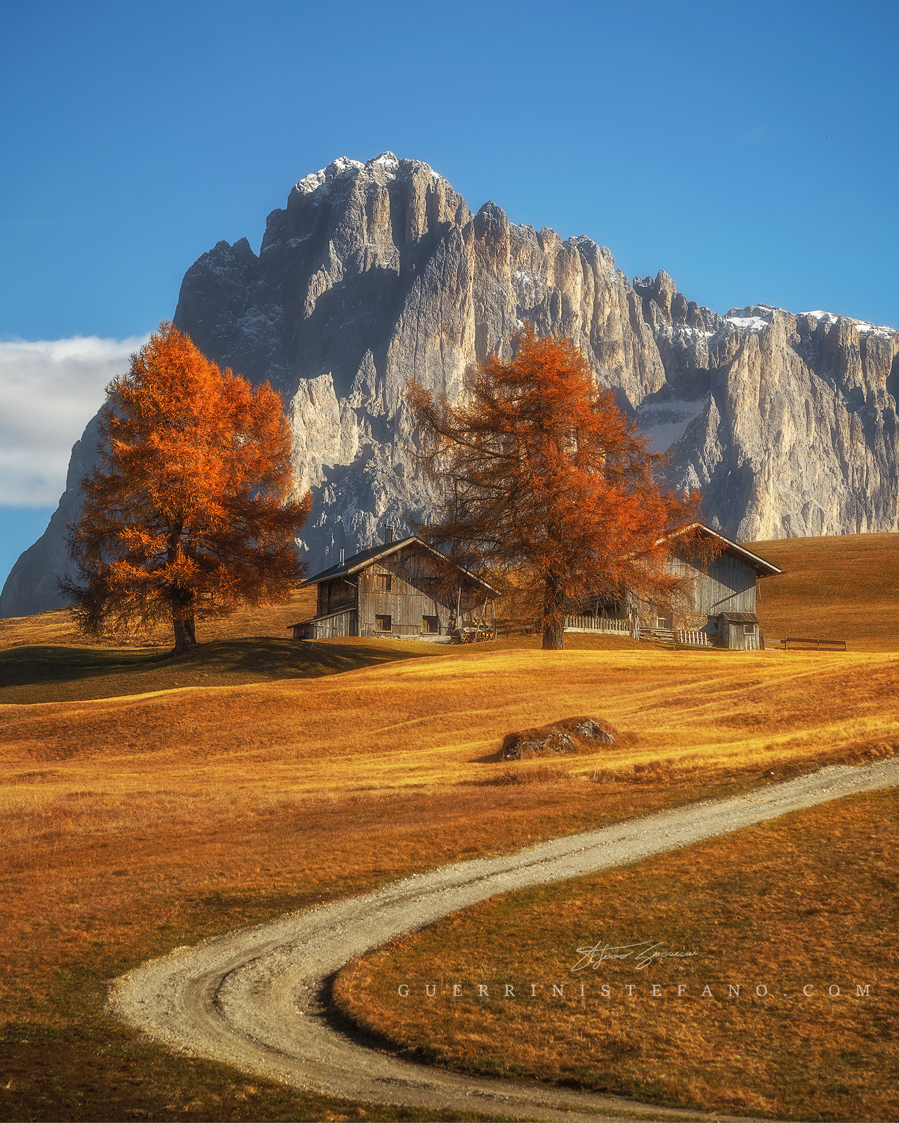 Autumn - Alpe di Siusi - Seiser Alm