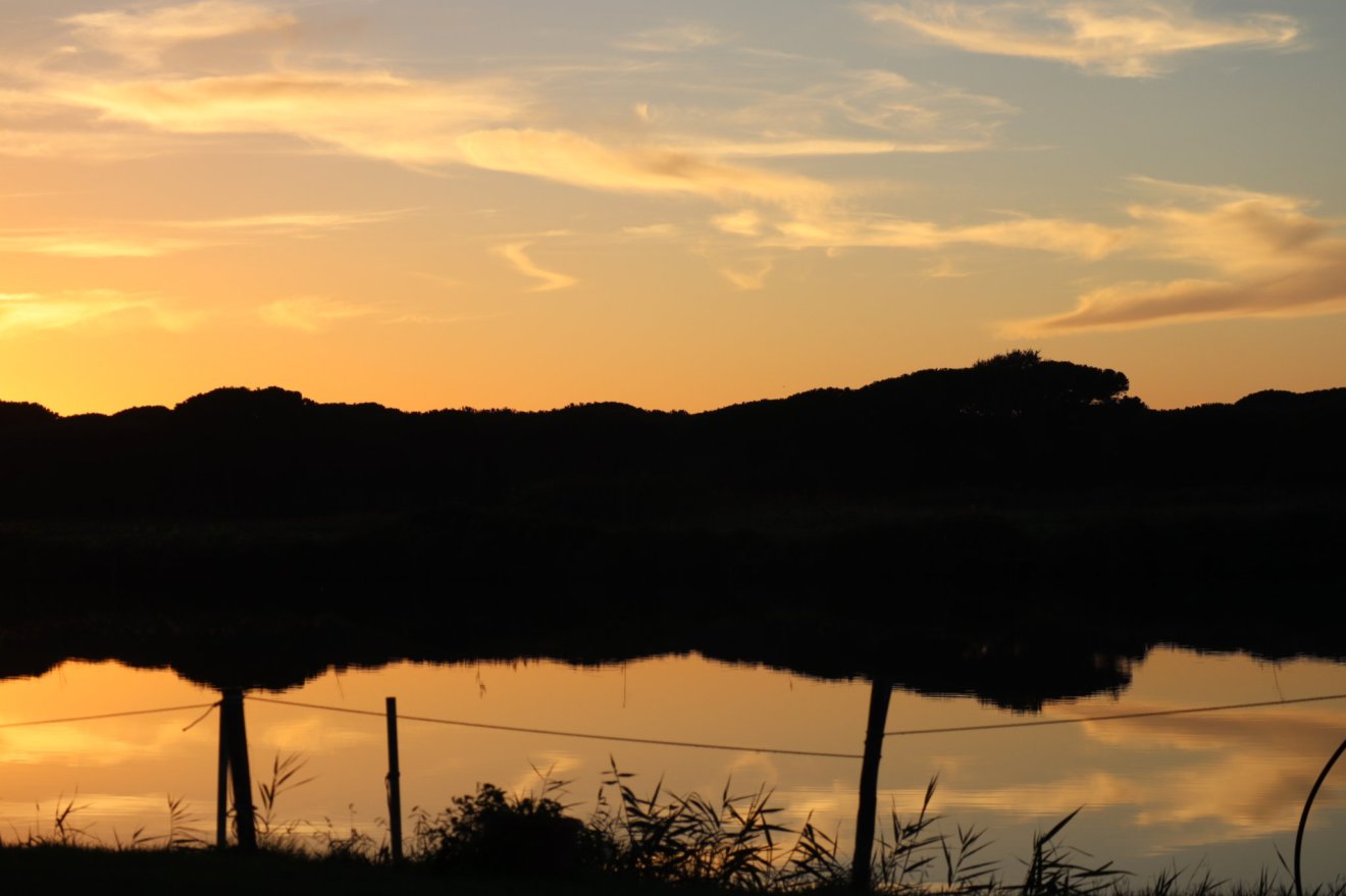 sunset light, Lake Tamerici in Coltano