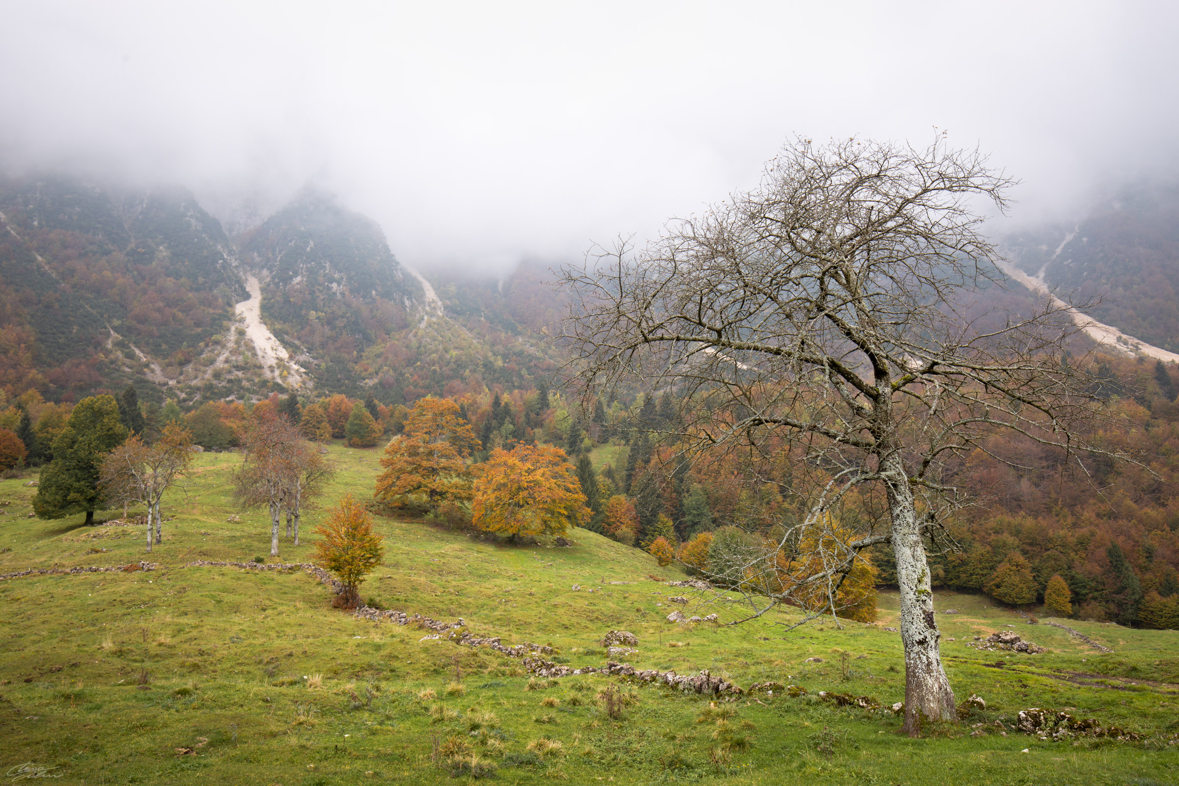 L'autunno se ne andrà