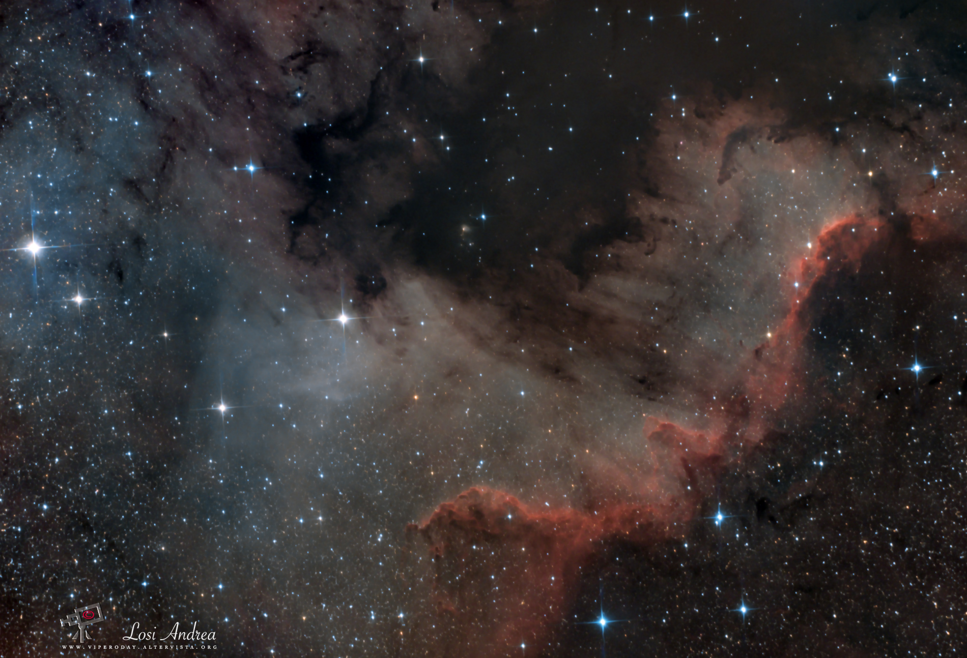 Muro del Cigno in NGC 7000 Nord America