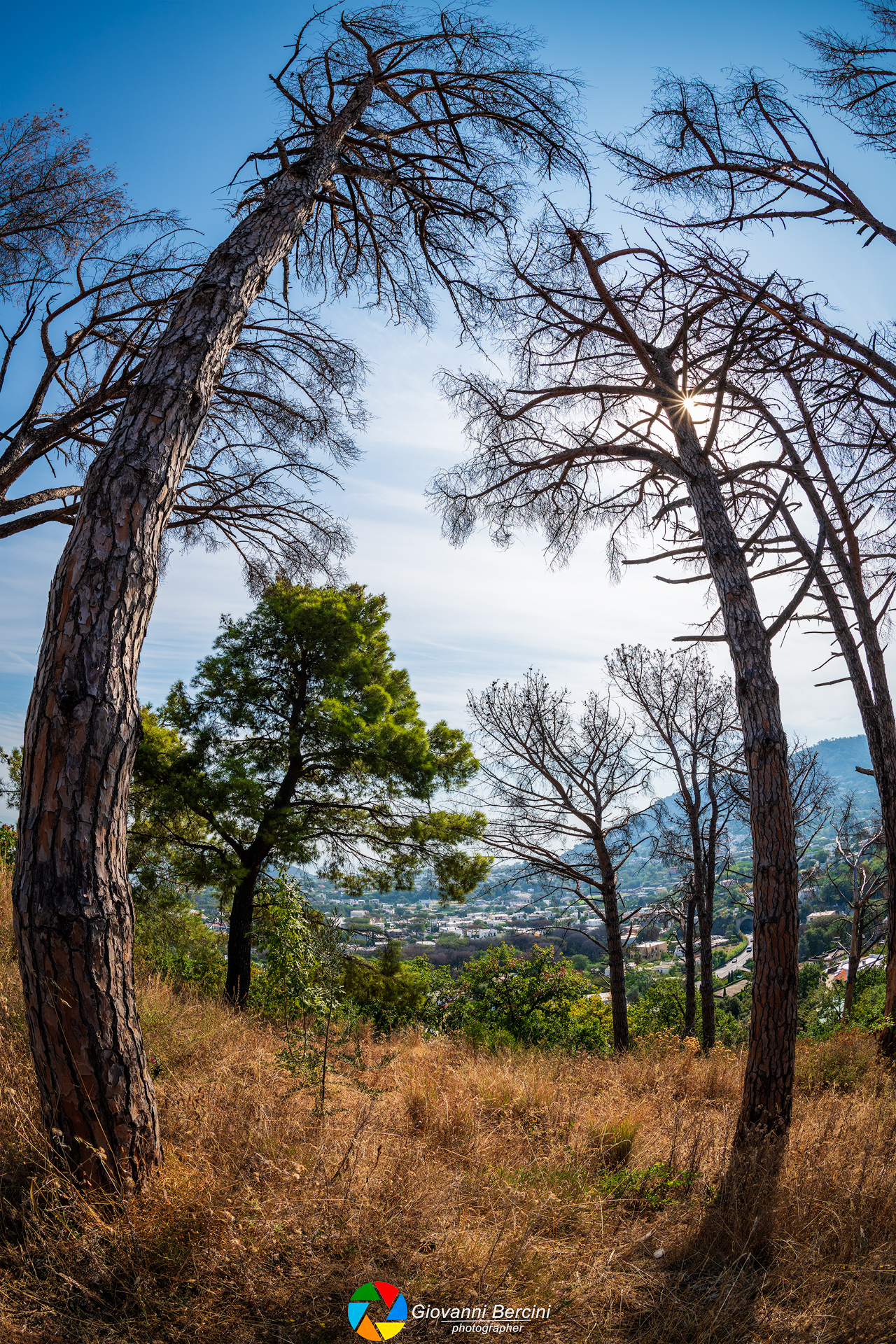 There's only one left.