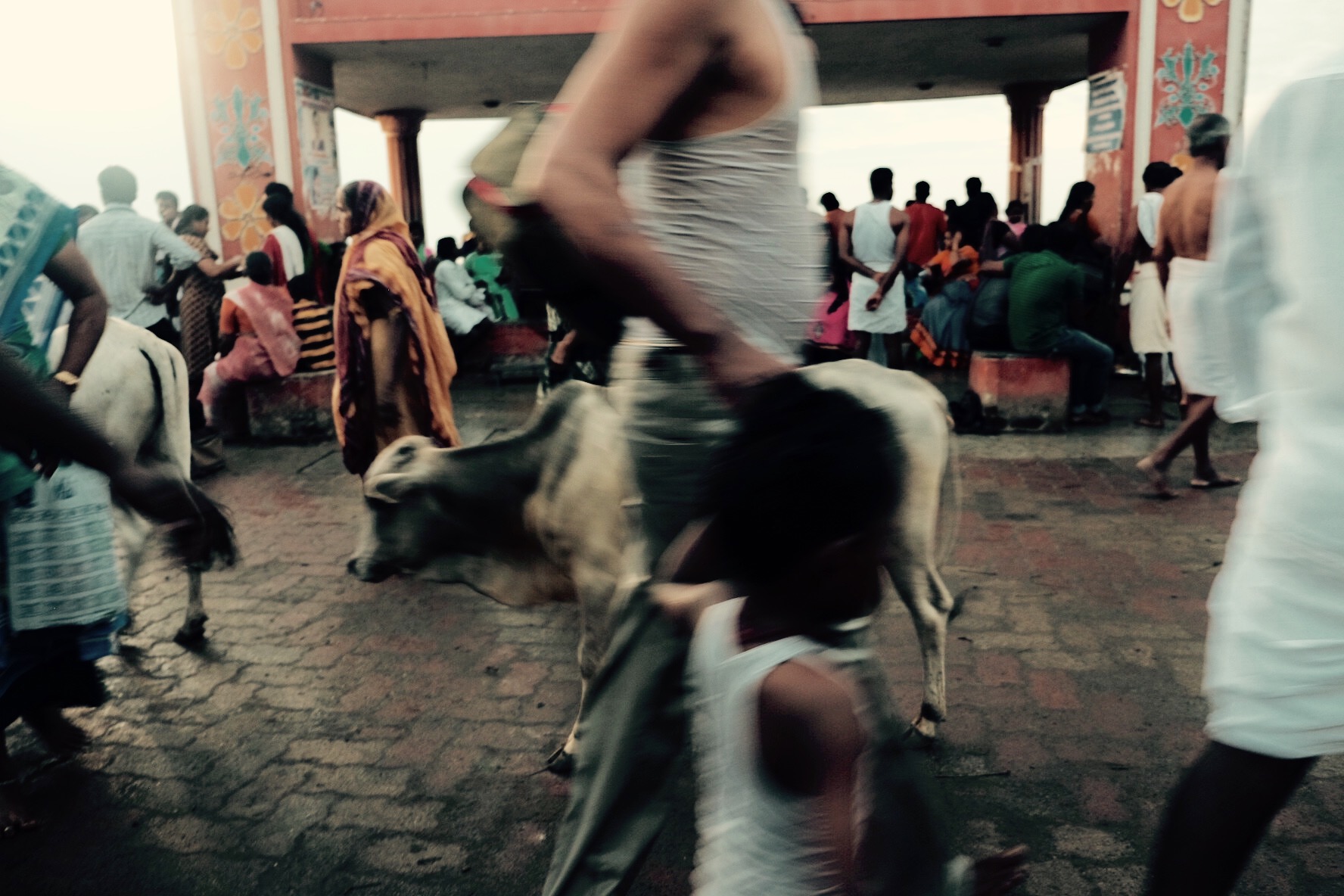 rameswaram2 property