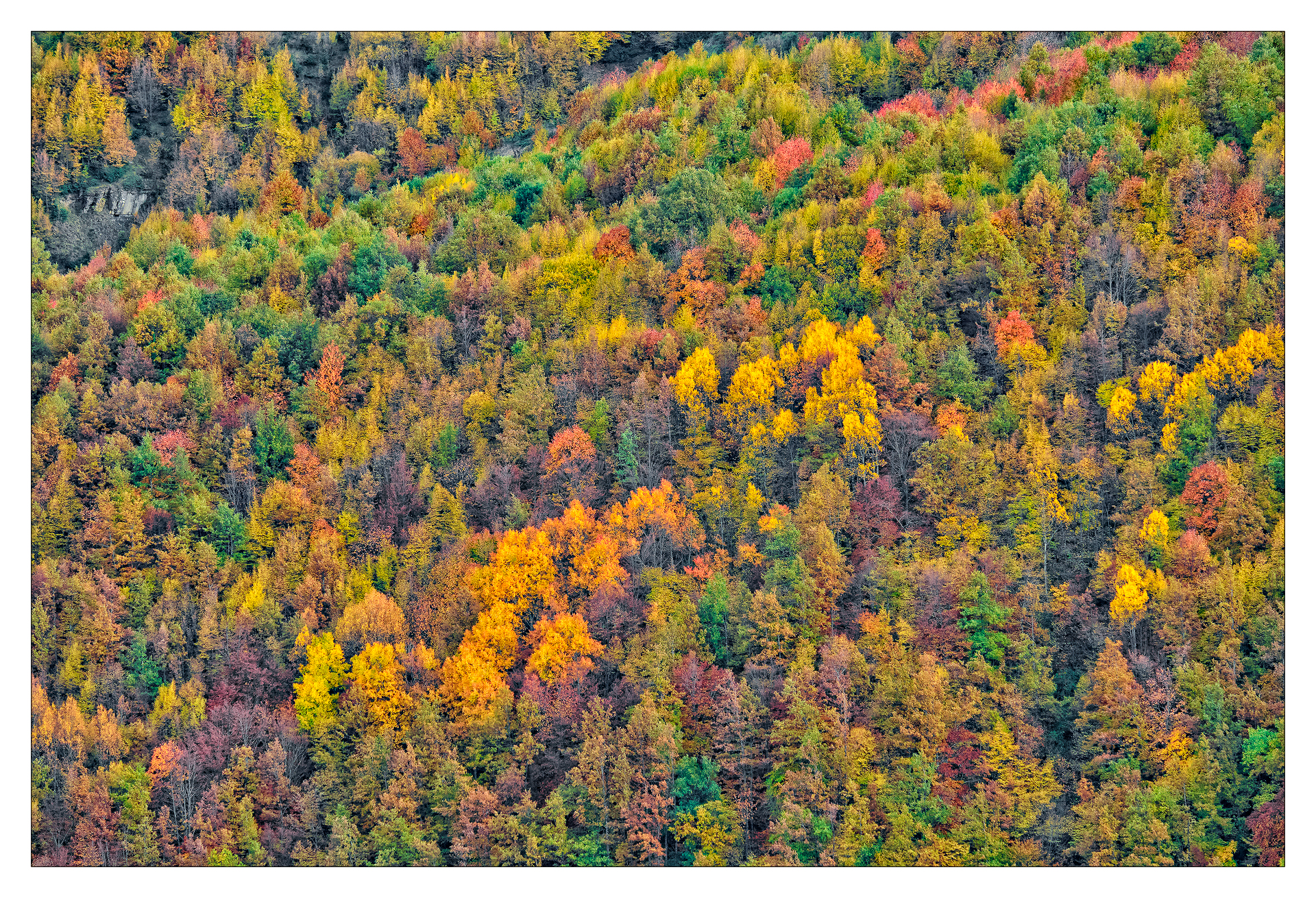 una stagione nel cuore