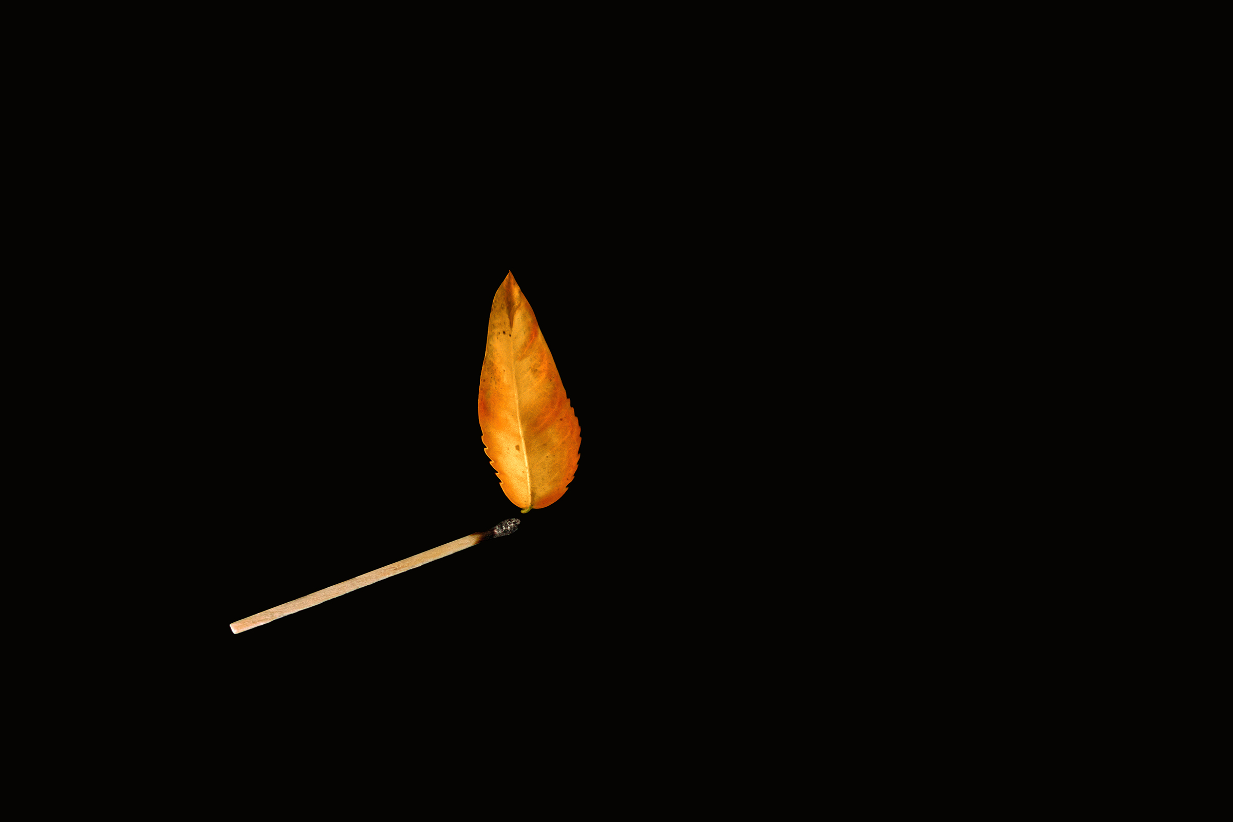 Do you have a light?