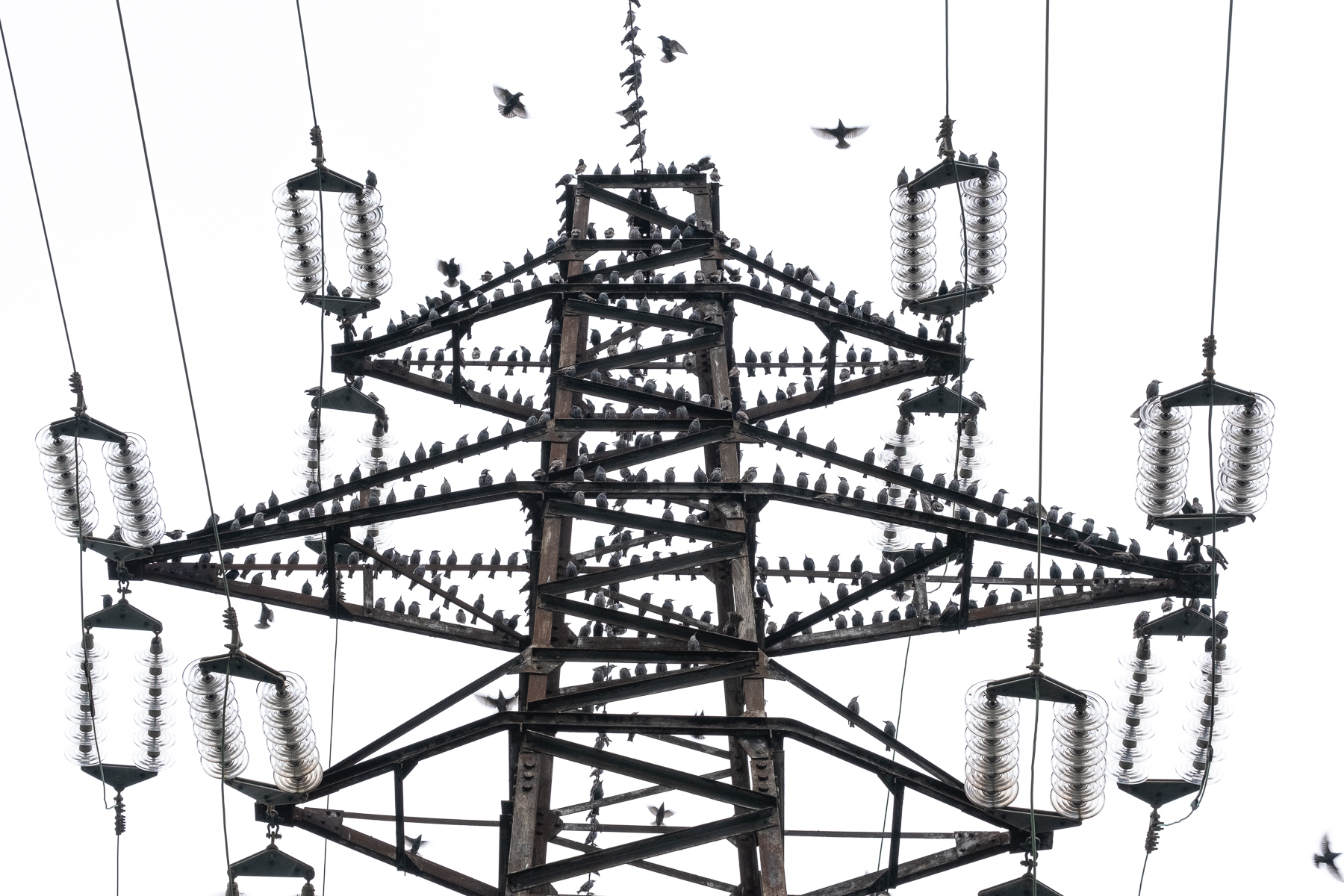 Last places available!