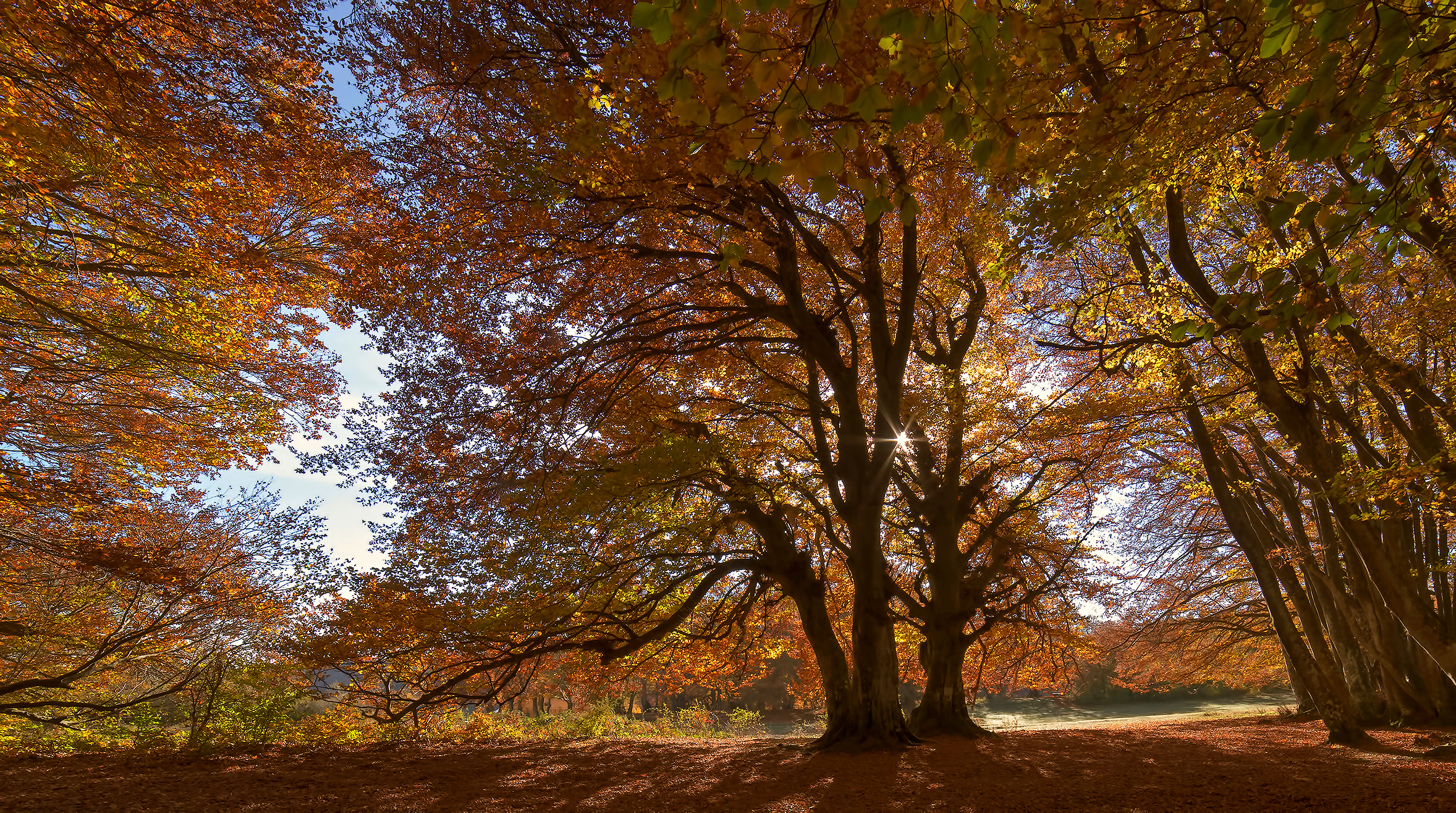 Season colors - 2020