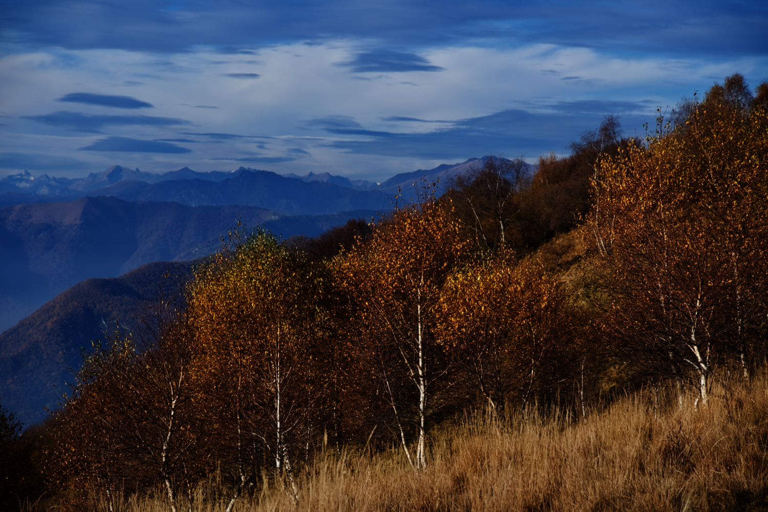 Pian del Tivano (CO) - Autumn 1