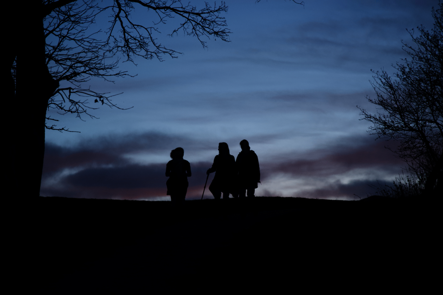 Twilight Trek