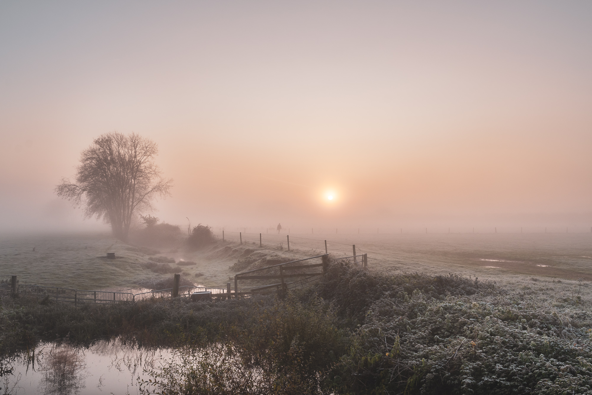 Il freddo di un'alba autunnale nebbiosa