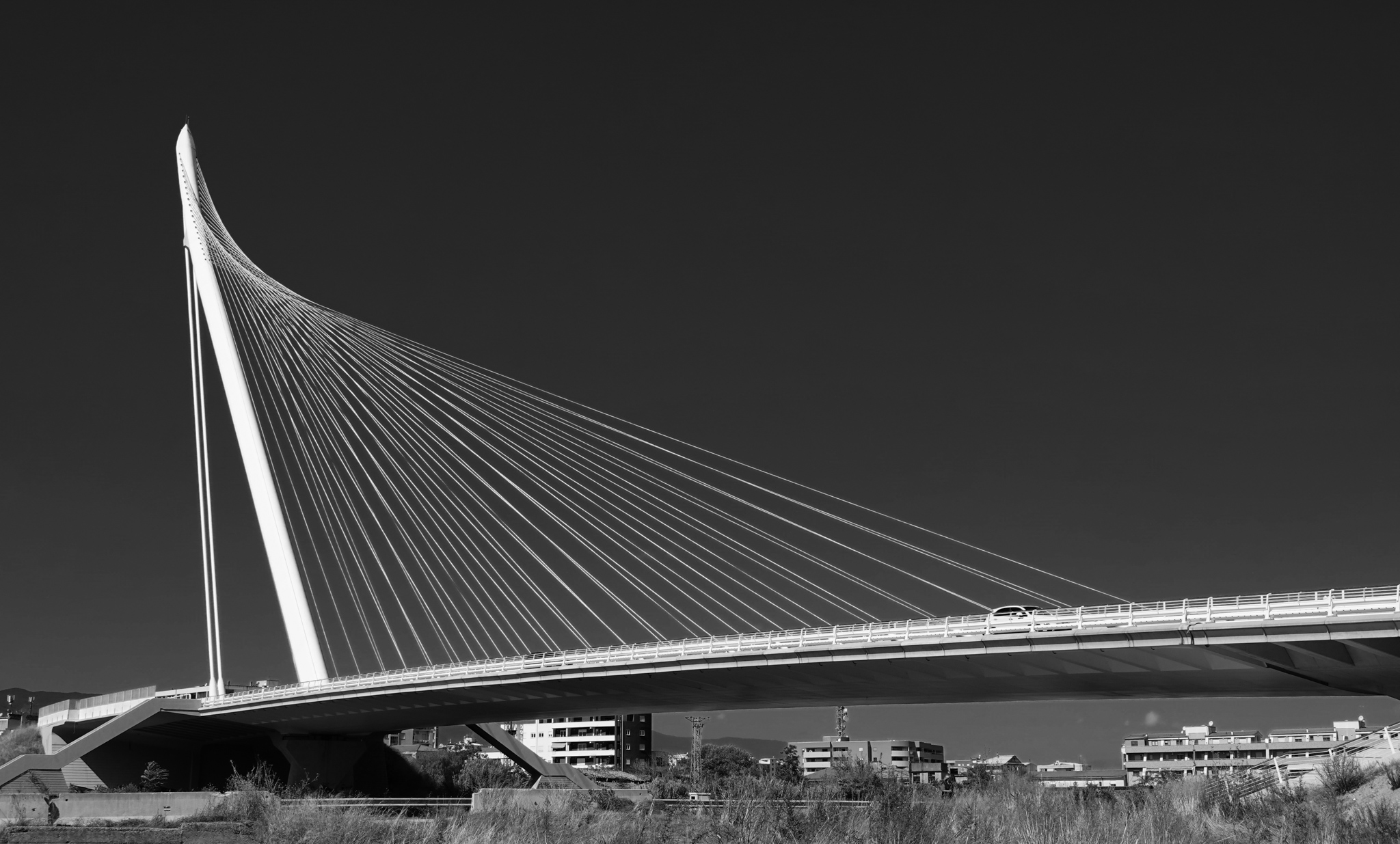 Ponte di Calatrava a Cosenza
