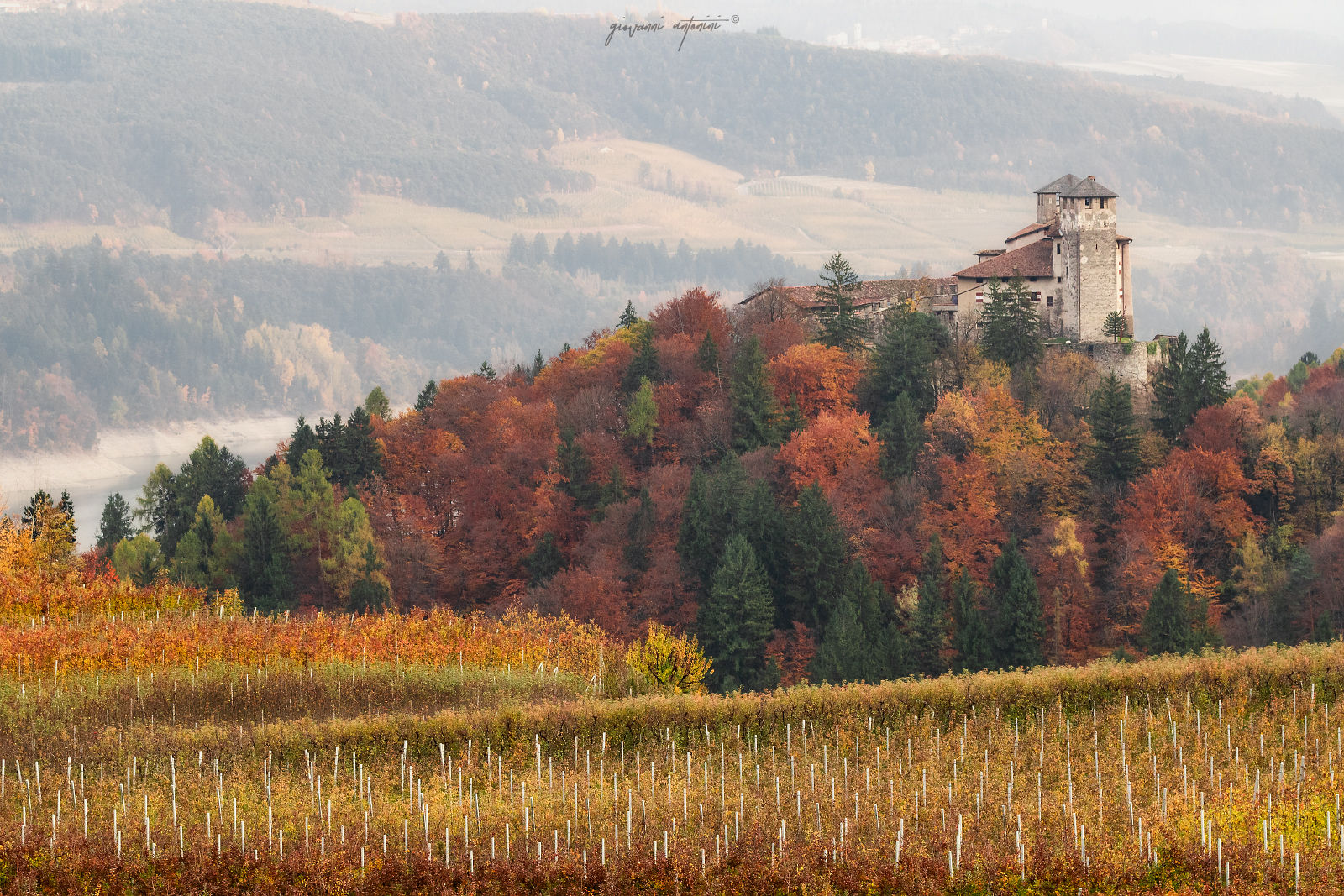 pennellate d'autunno