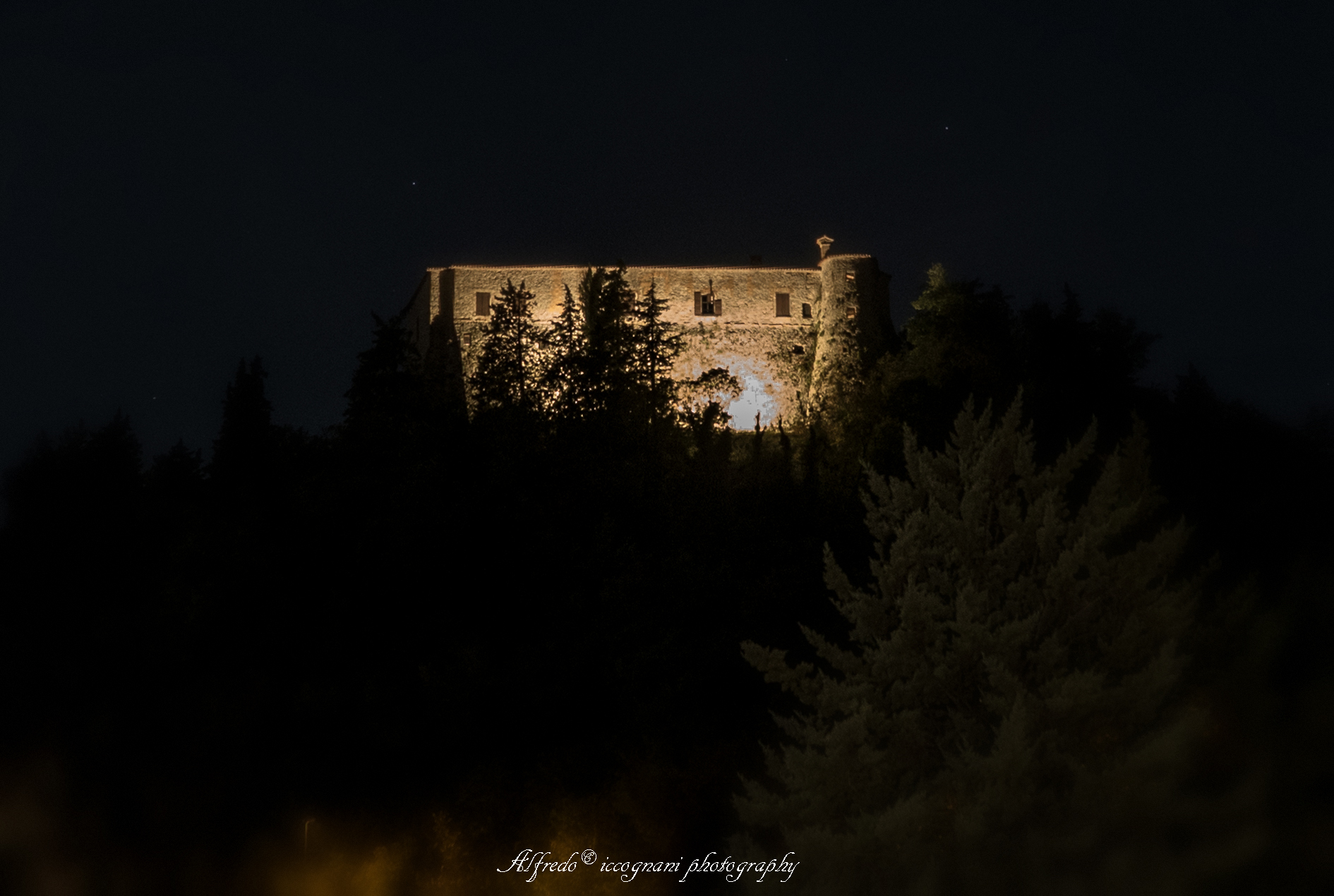 Untitled Photo