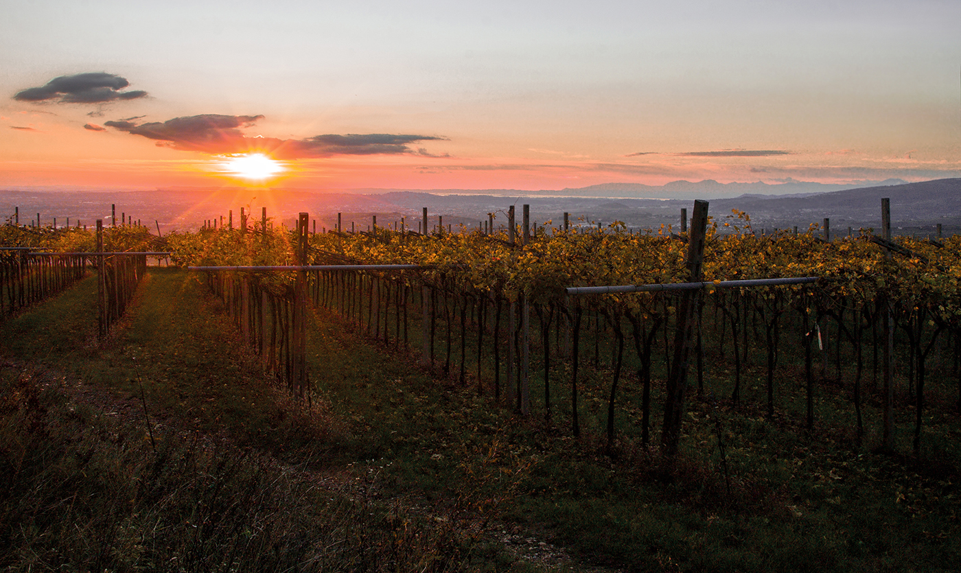 Ammirando il tramonto