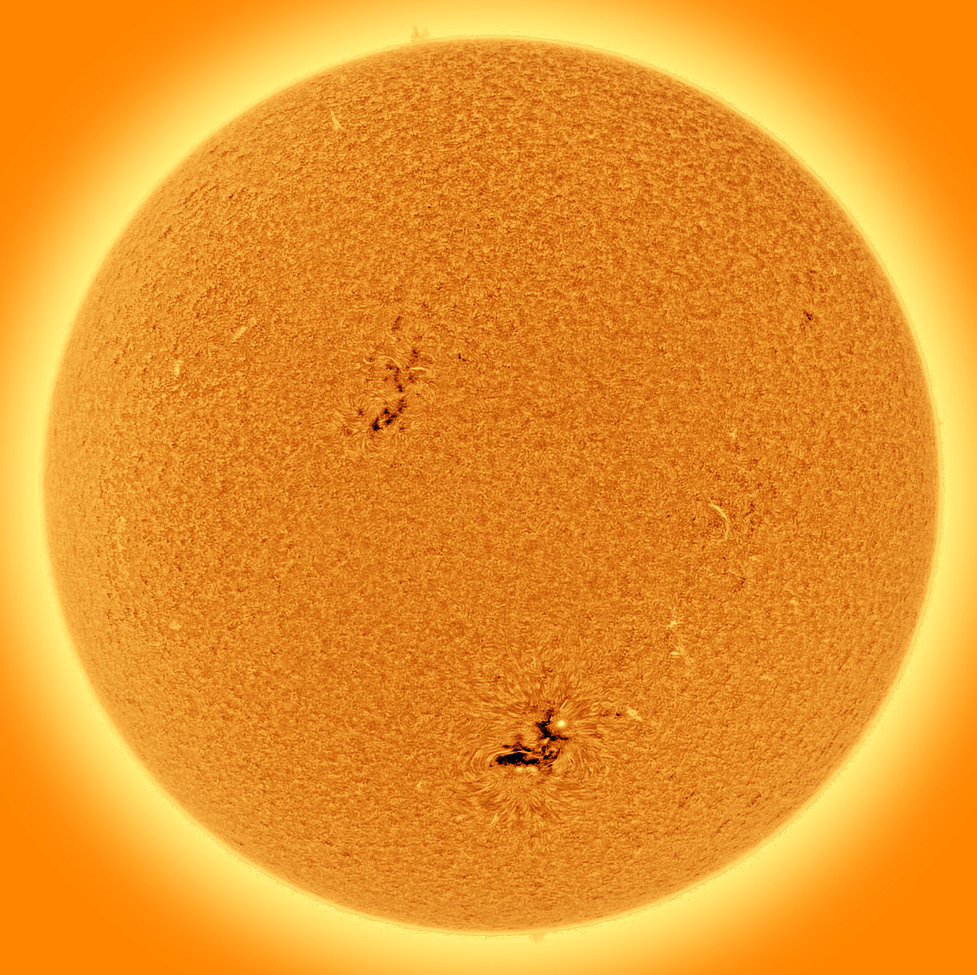 Il sole oggi in halpha