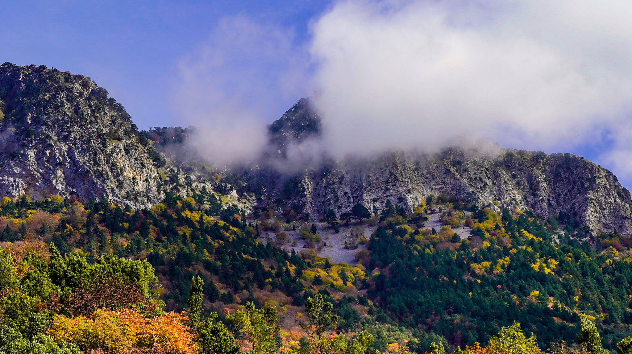 Autunno sul Pollino