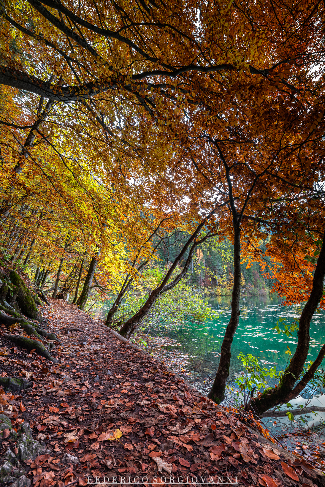 Lago di Tovel - Foliage