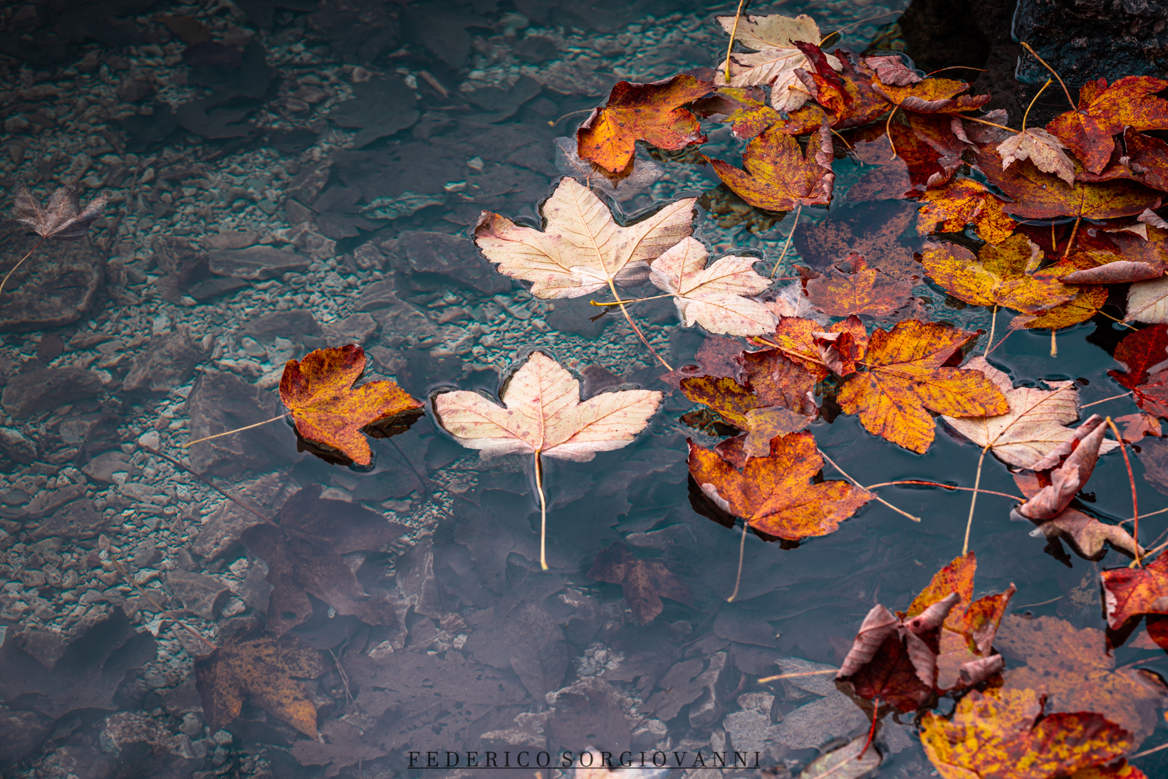 Lago di Tovel - Foliage