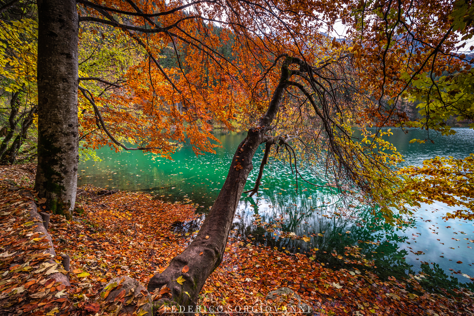 Lago di Tovel - Foliage