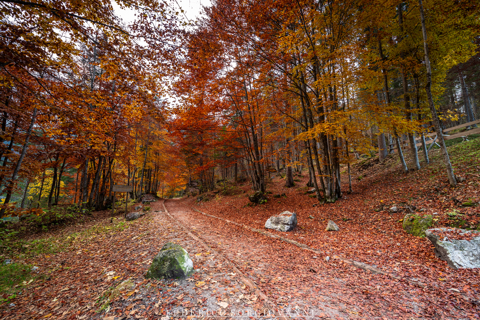 Lago di Tovel - Foliage