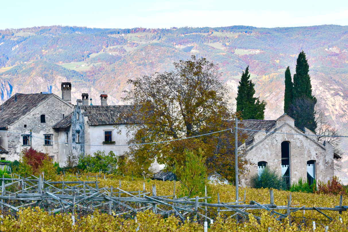 Maso antico a Appiano (bz)