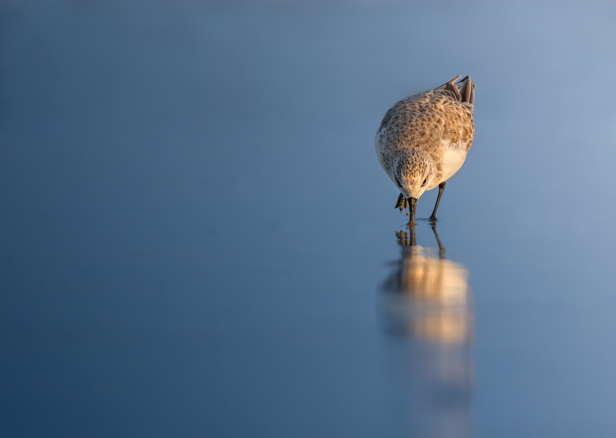 "A kiss to the sea"