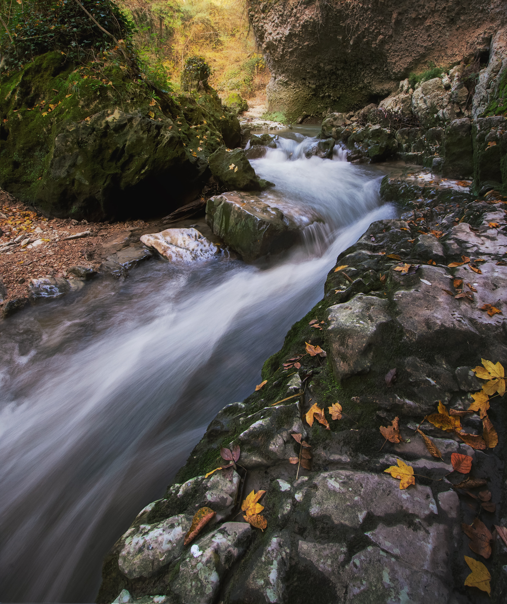 Li vurgacci, pioraco