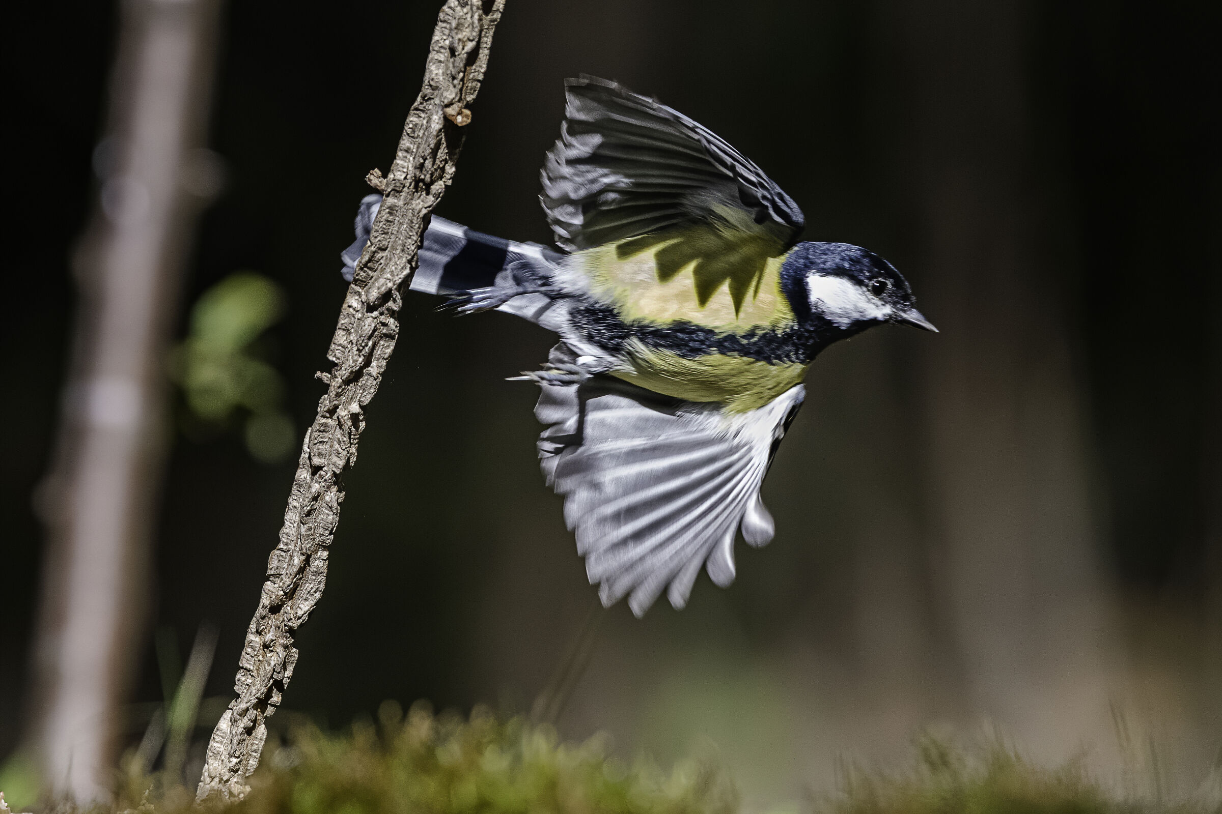 ...e via, verso nuove avventure