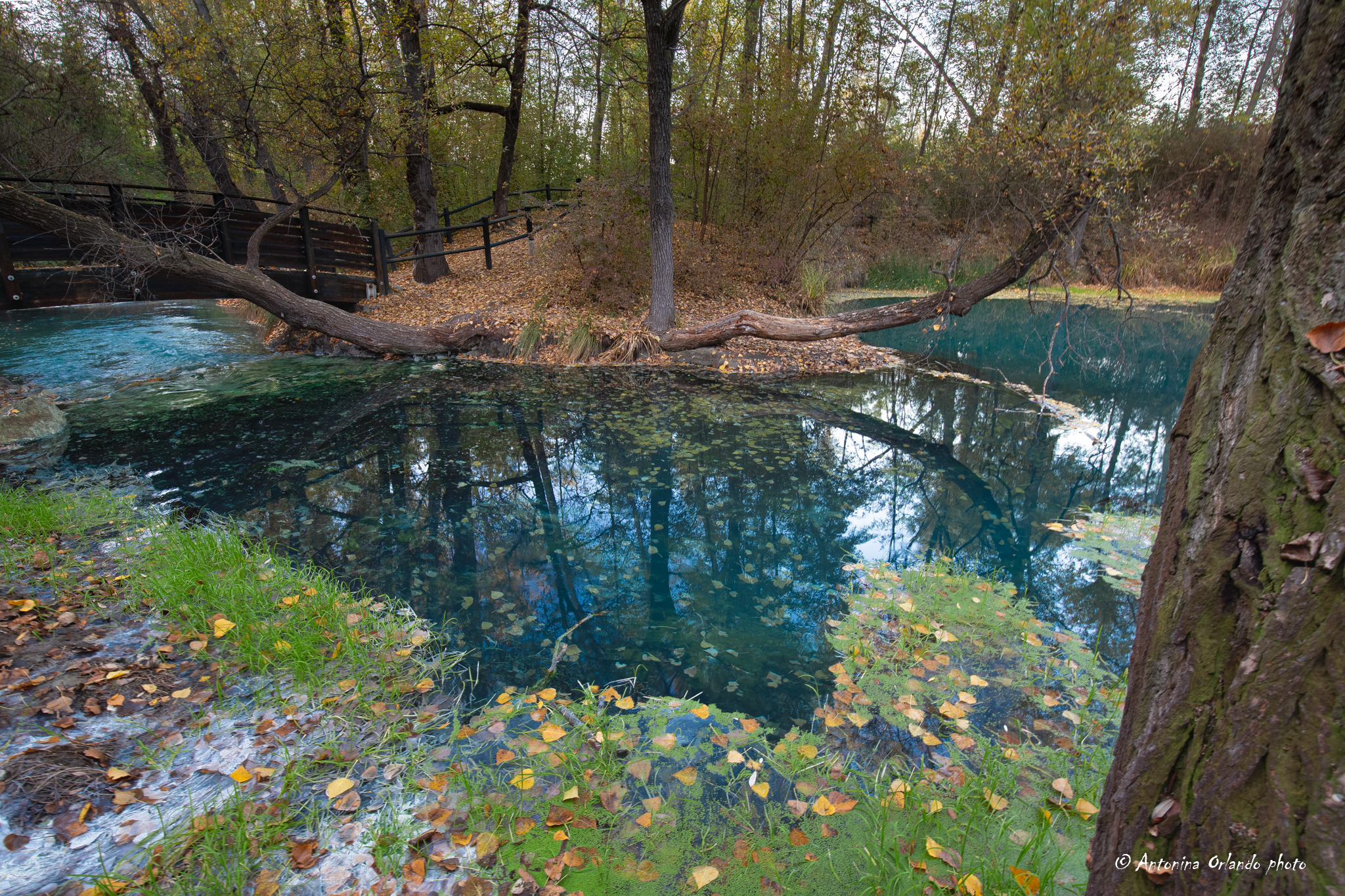 Autunno al Parco Lavino .