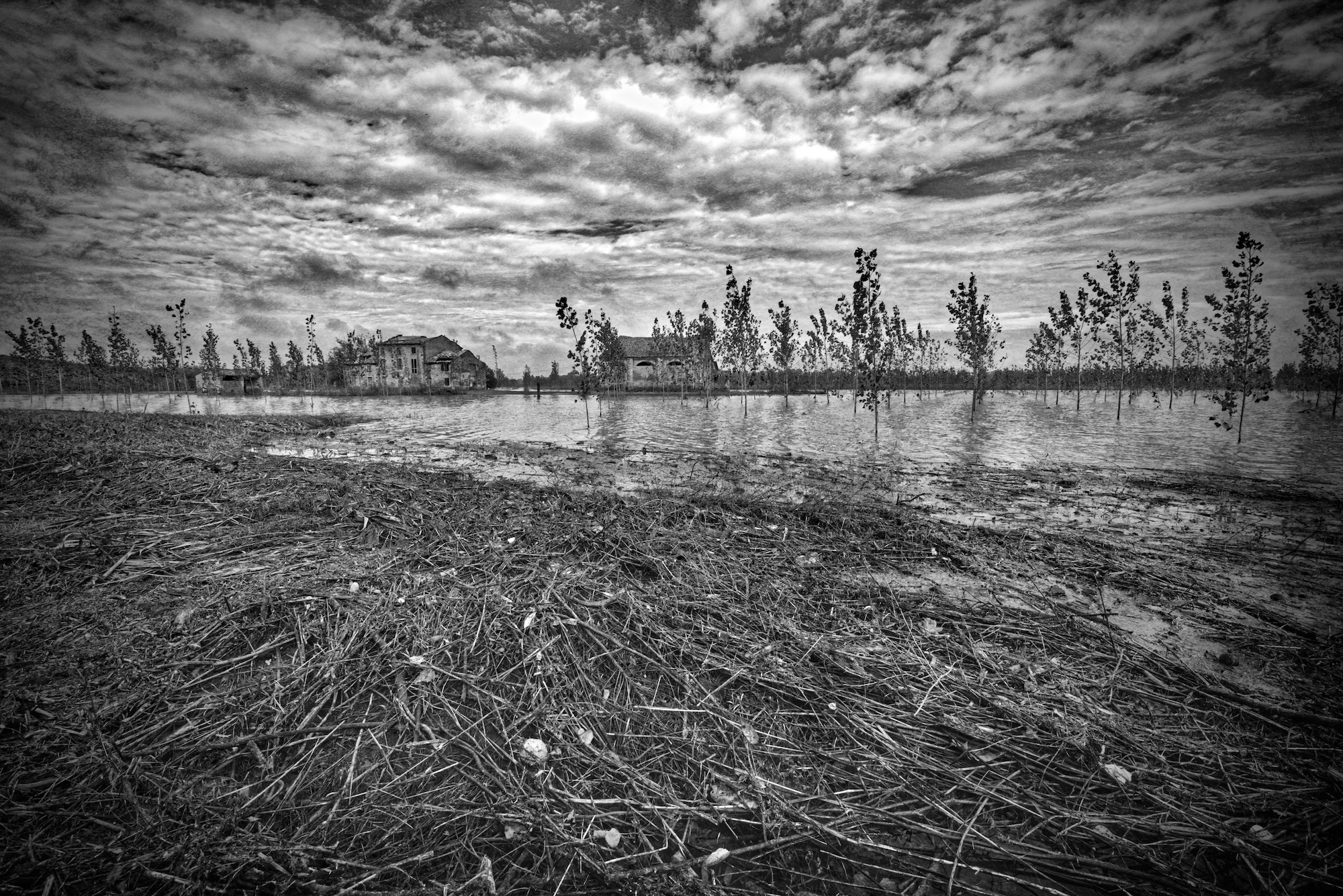 Untitled Photo