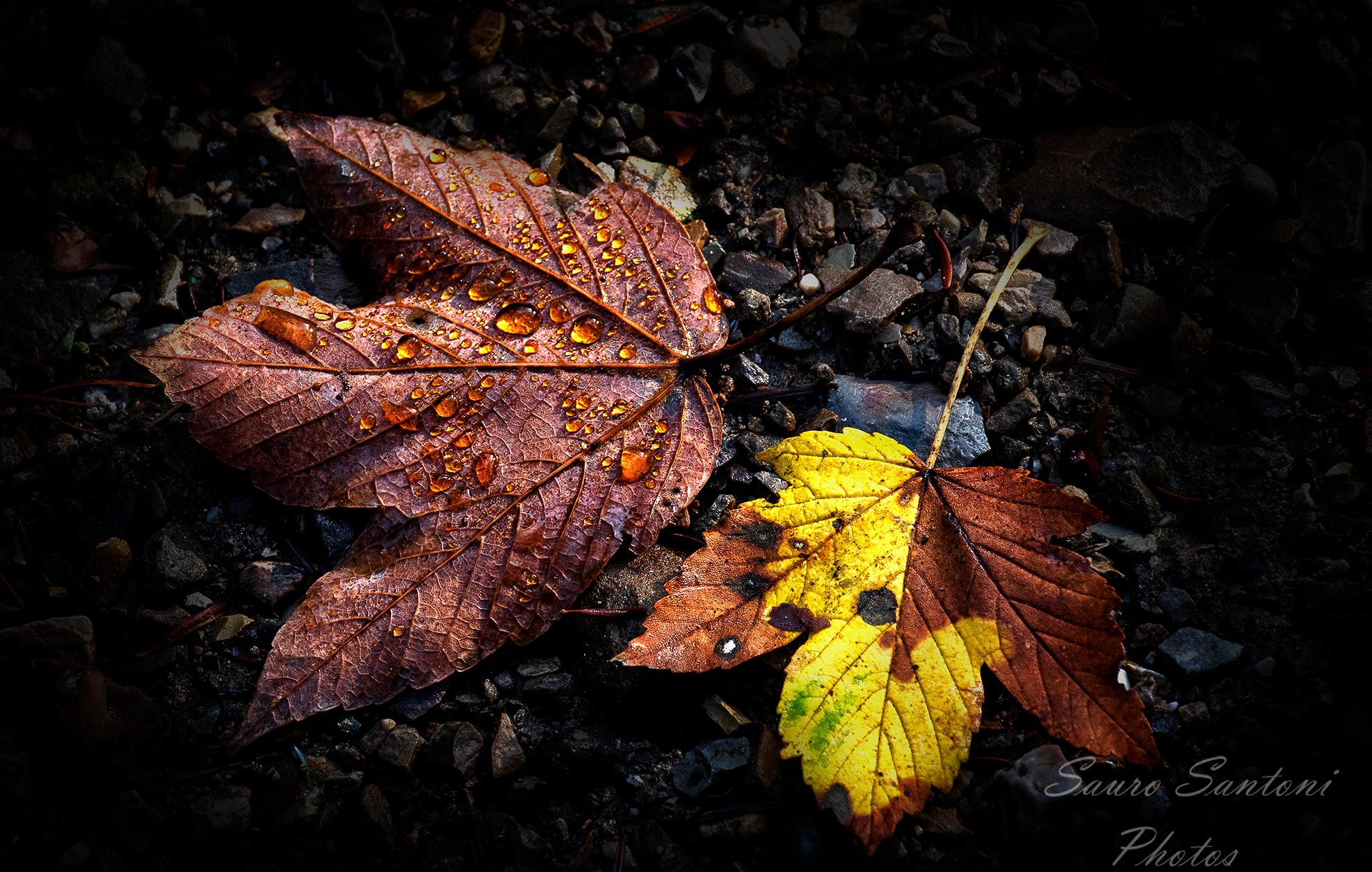 You don't need context!.. but autumn!..